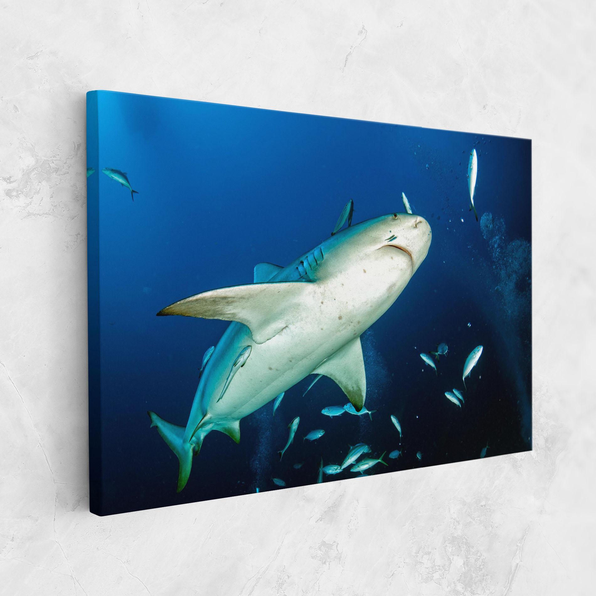Картина на платно Bull Shark mockup 1