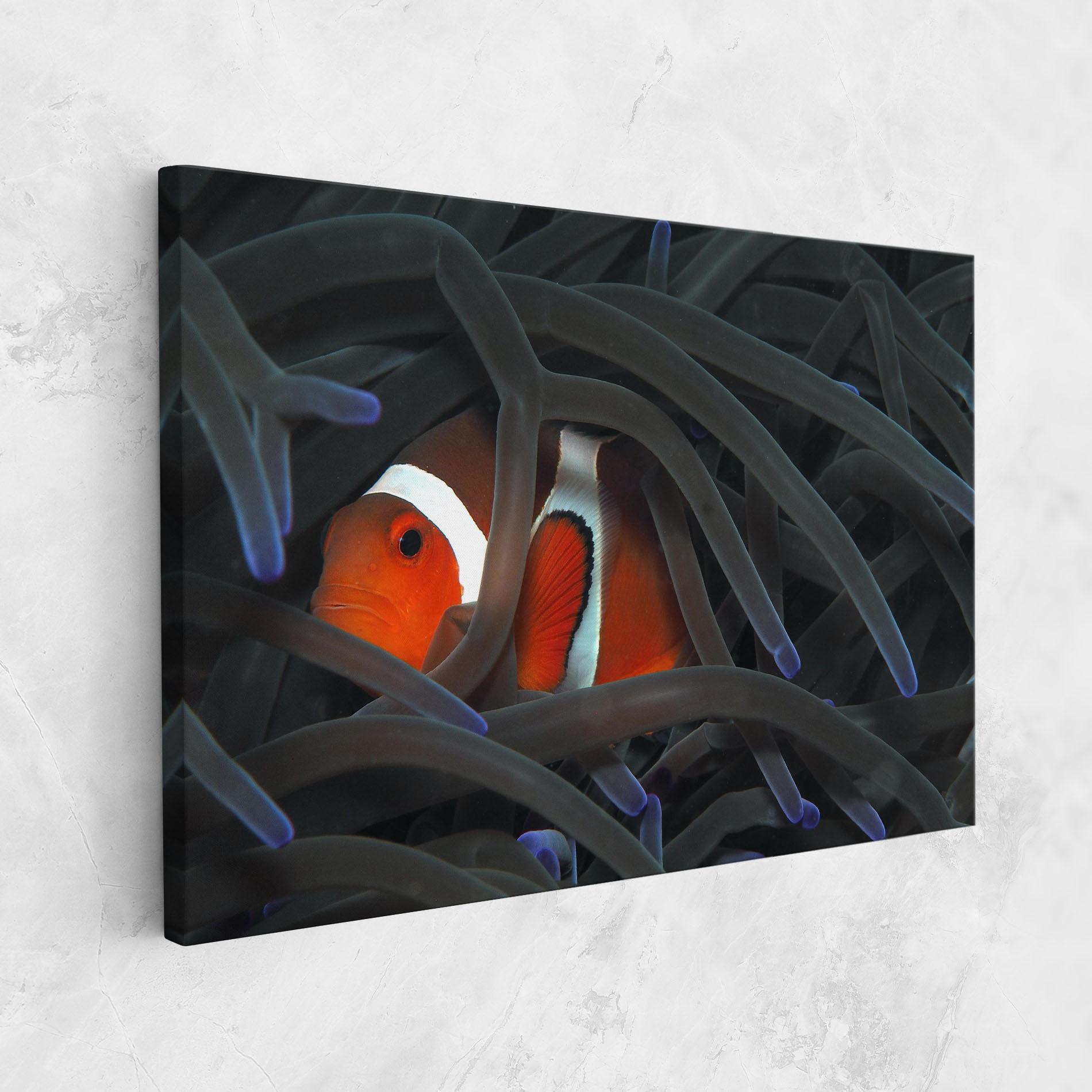 Картина на платно Nemo Hiding mockup 1