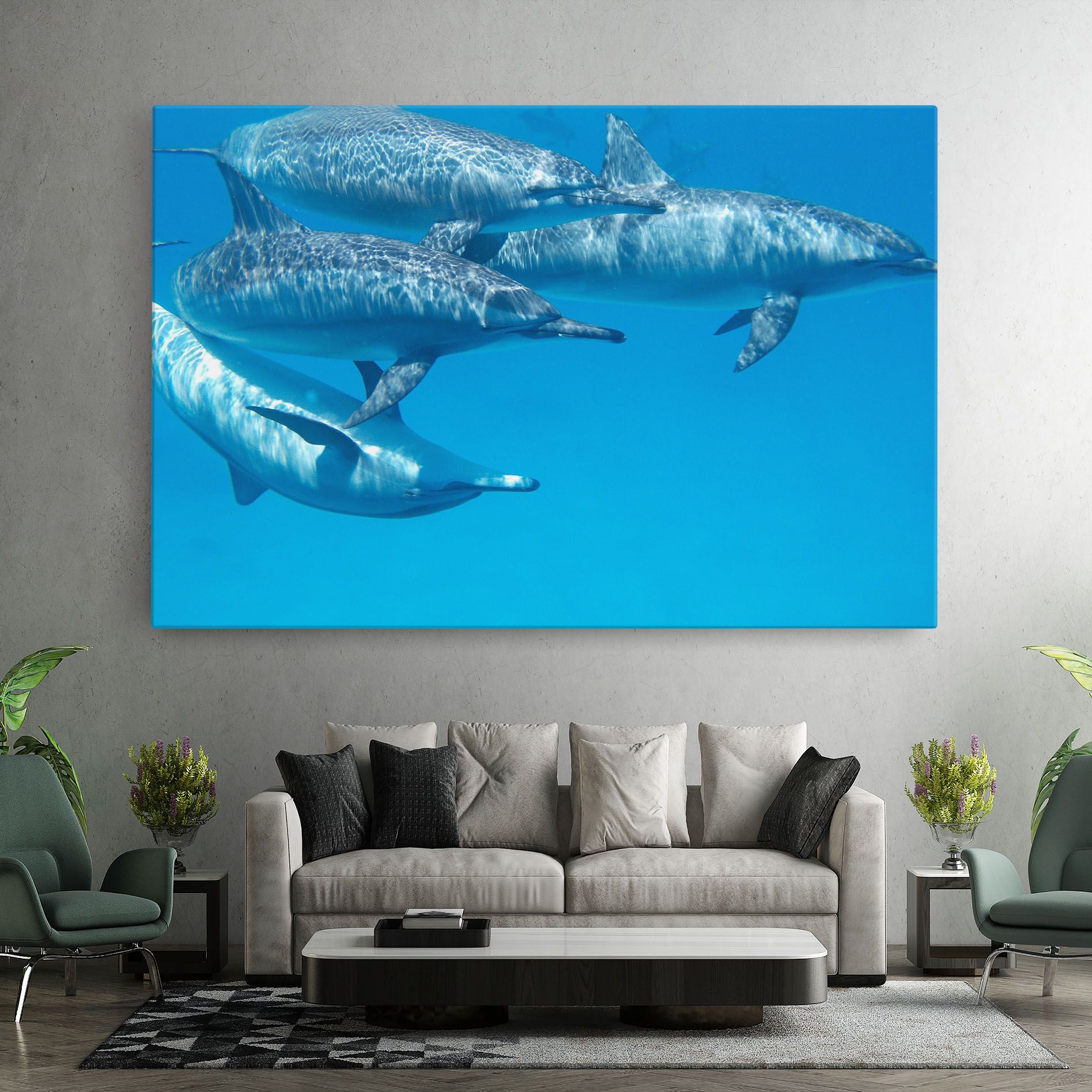 Family Of Dolphins mockup 7