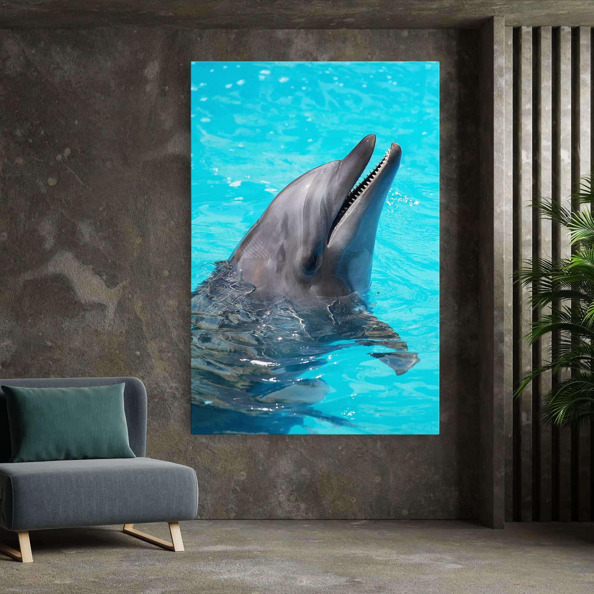 Trained Dolphin mockup 7