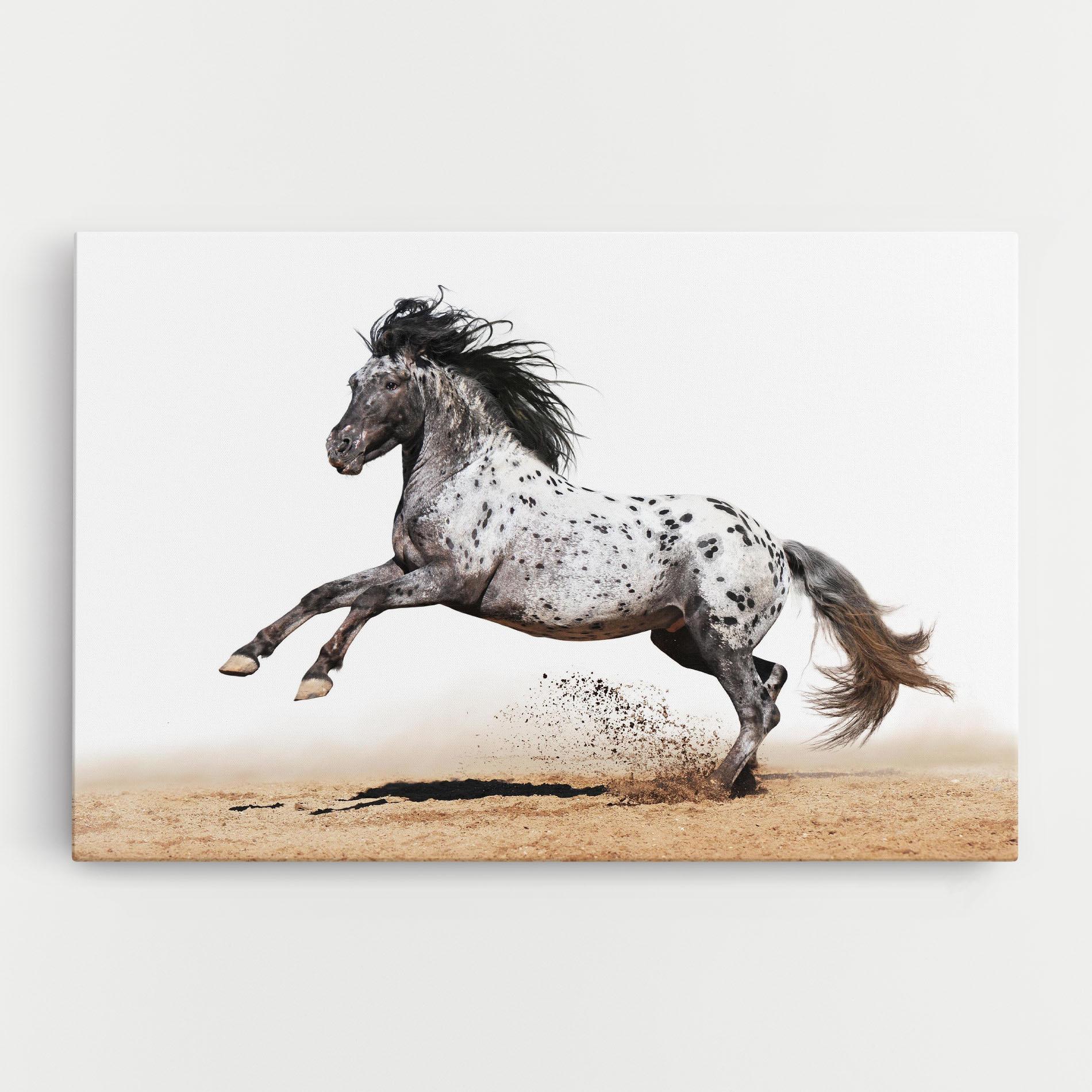 Картина на платно Appaloosa Horse Running mockup 0