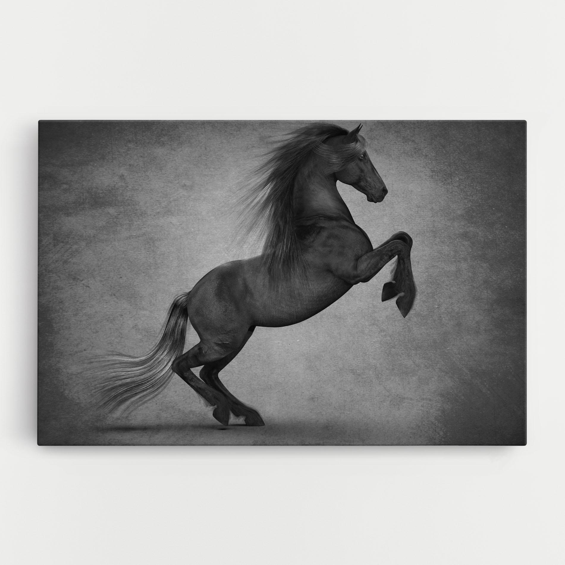 Картина на платно Black Horse Jumping mockup 0