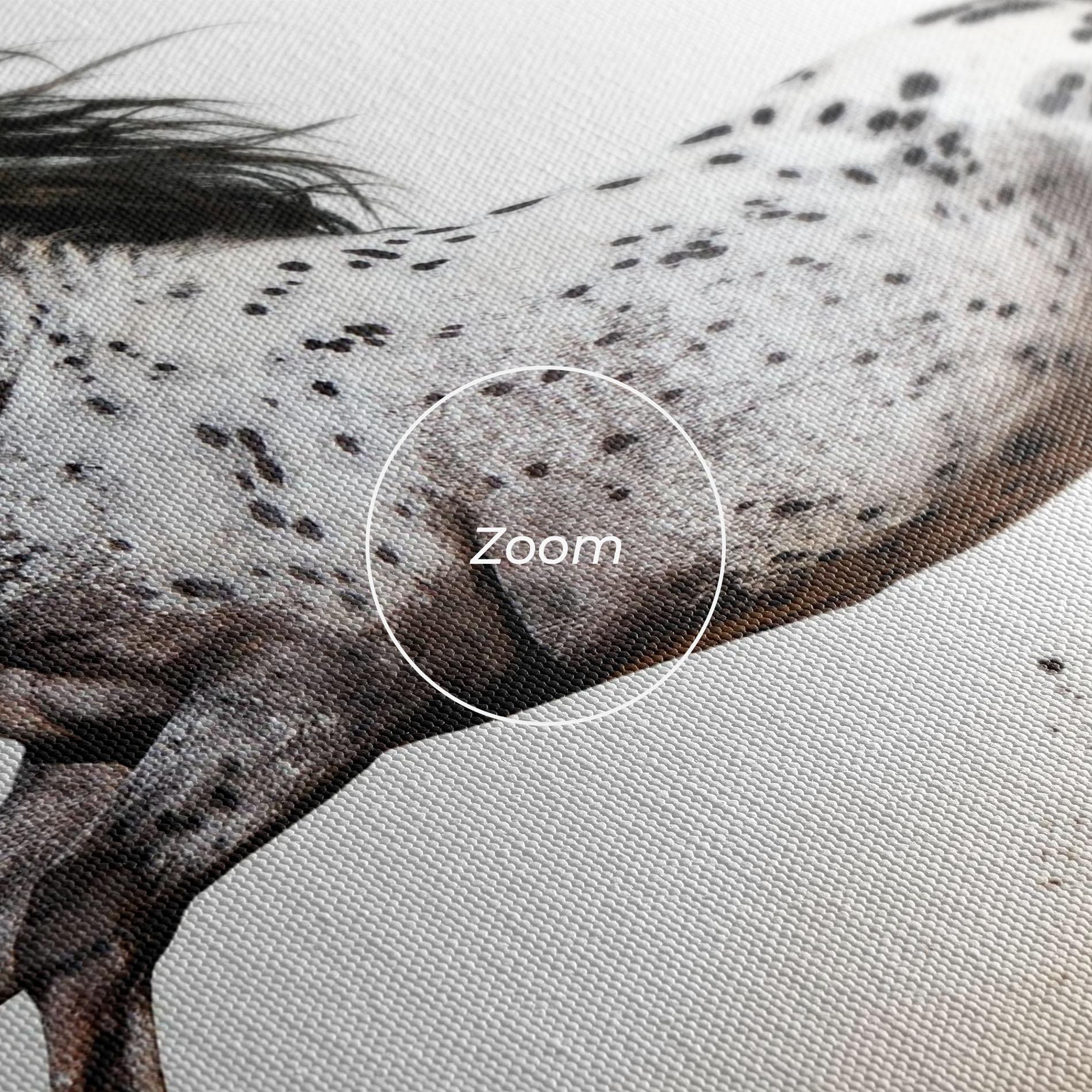 Картина на платно Appaloosa Horse Running mockup 3