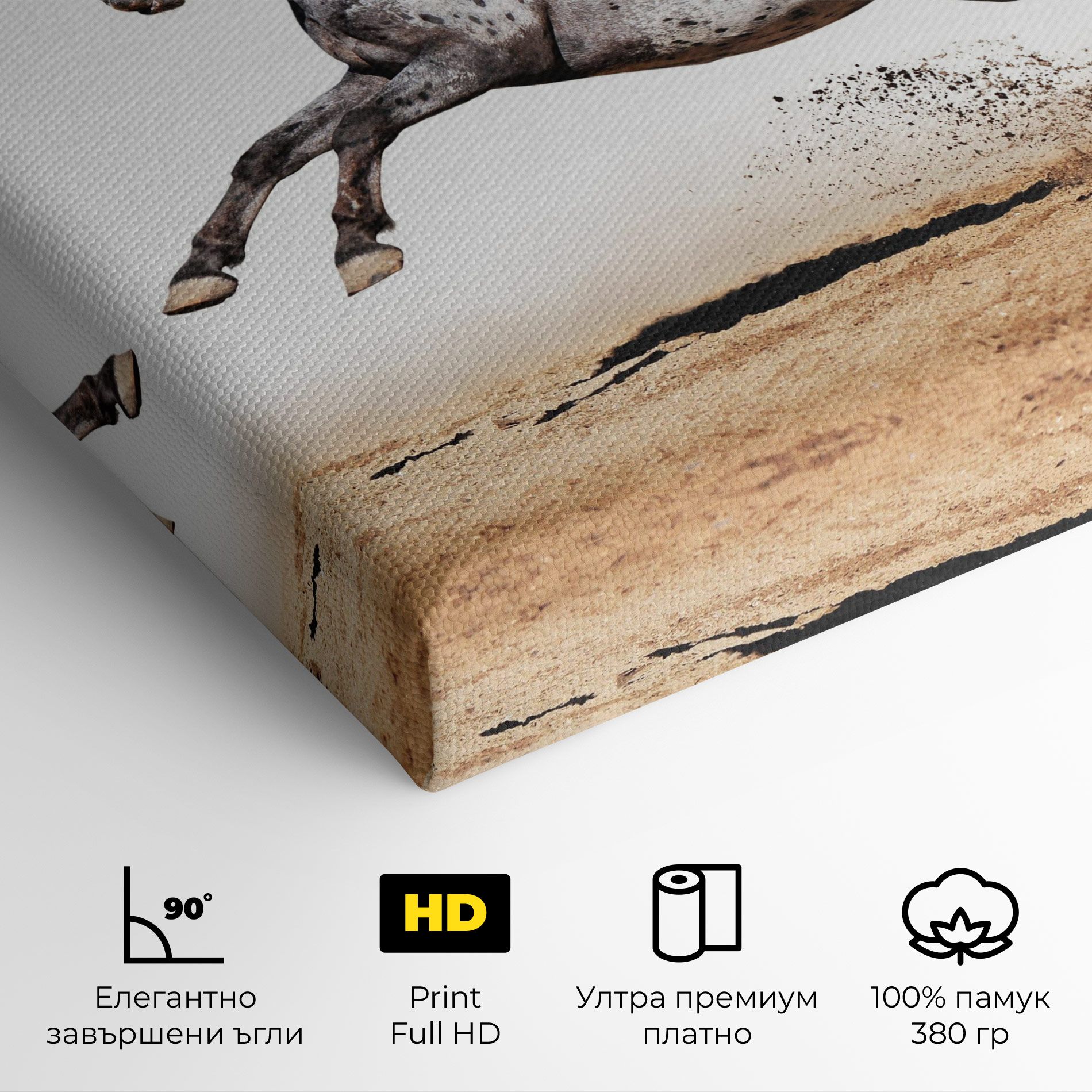 Appaloosa Horse Running mockup 4