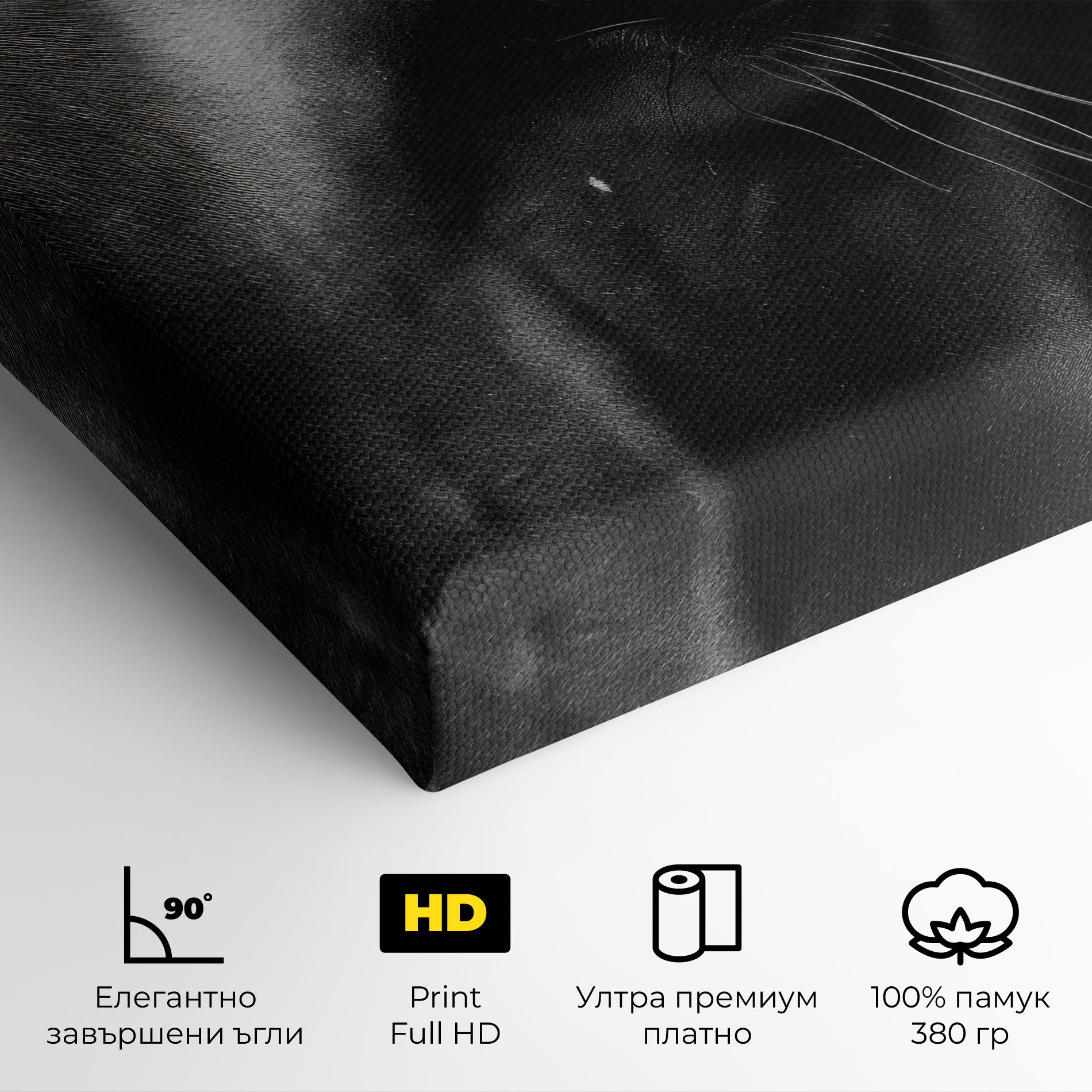 Black Horse Eye mockup 4