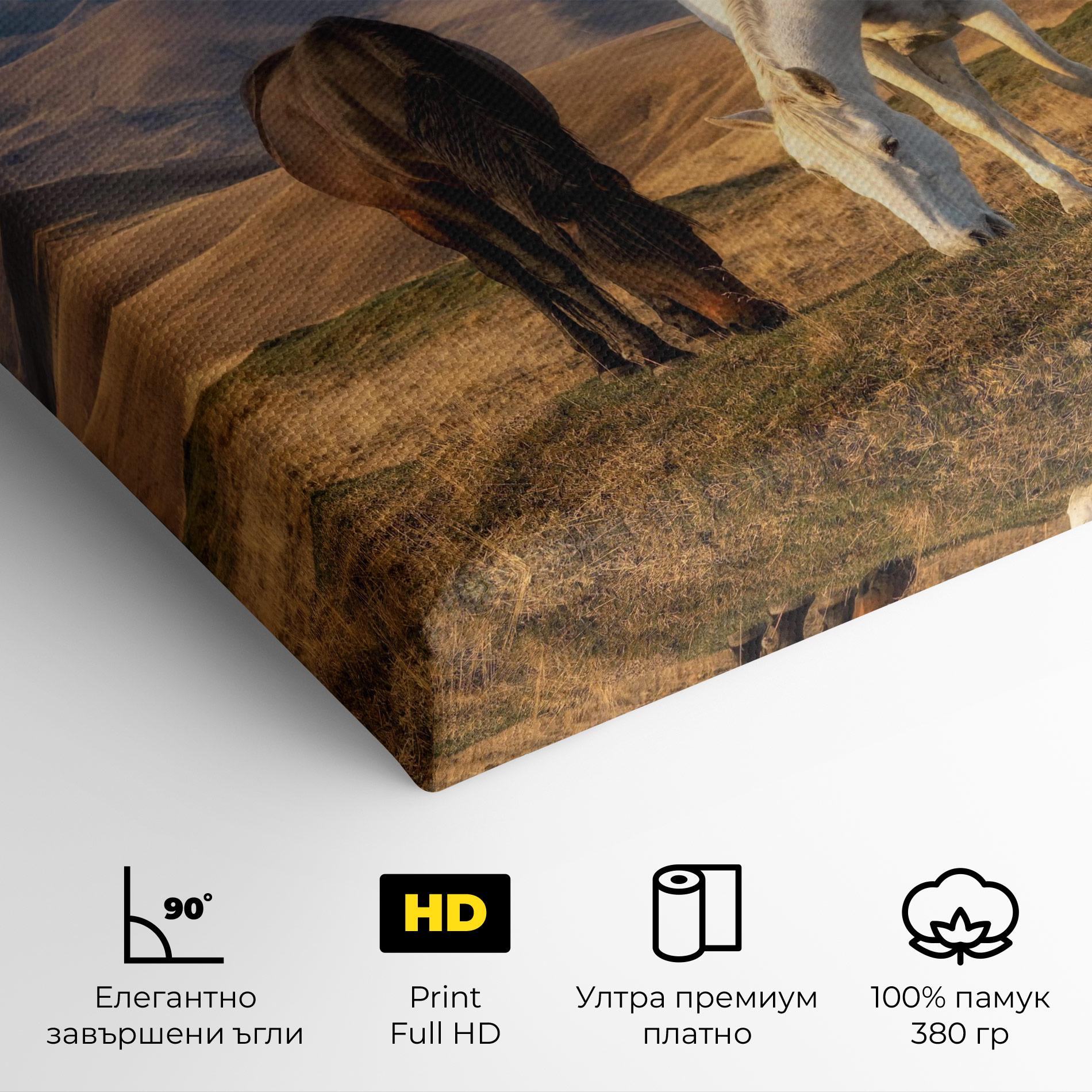 Картина на платно Mountain Horses mockup 4
