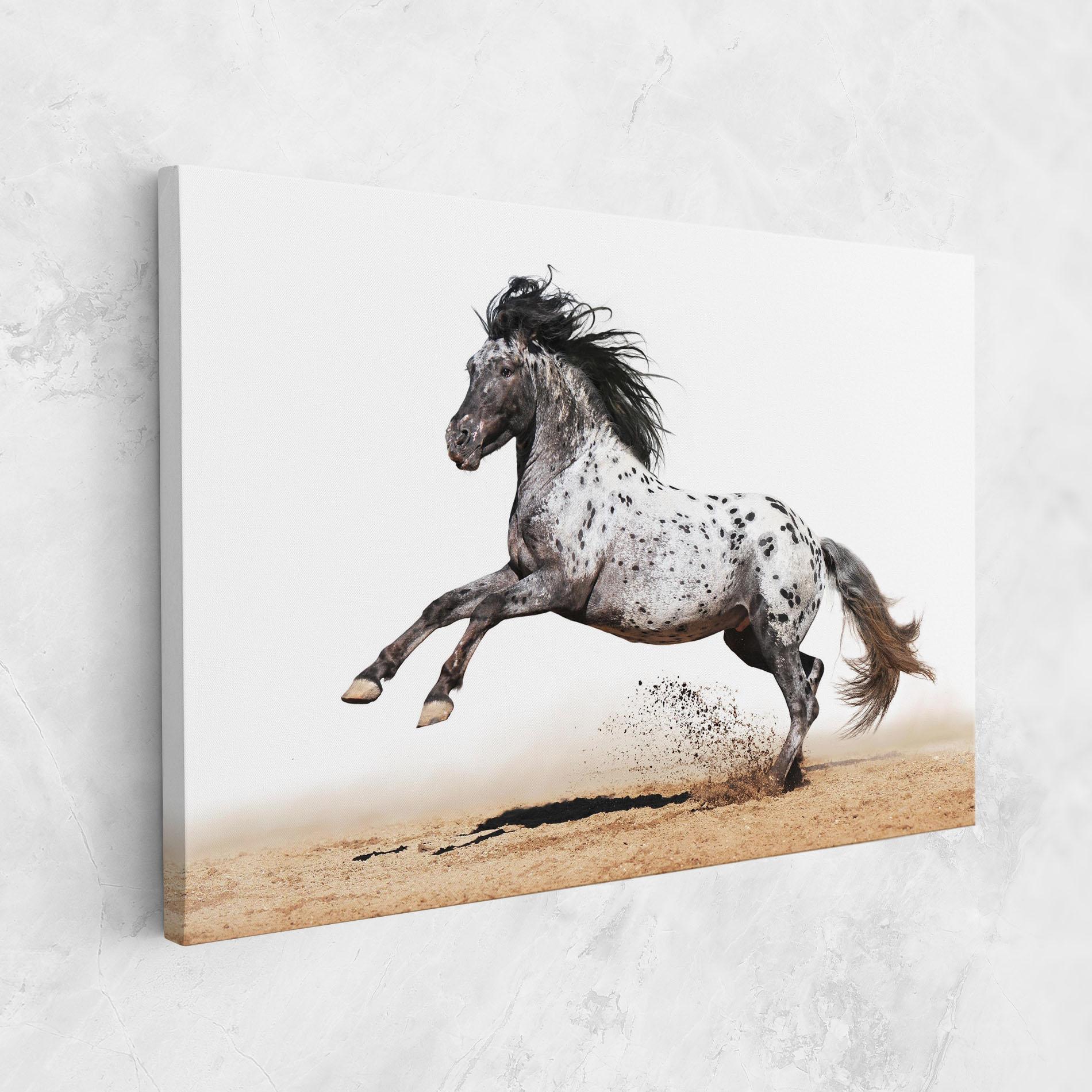 Картина на платно Appaloosa Horse Running mockup 1