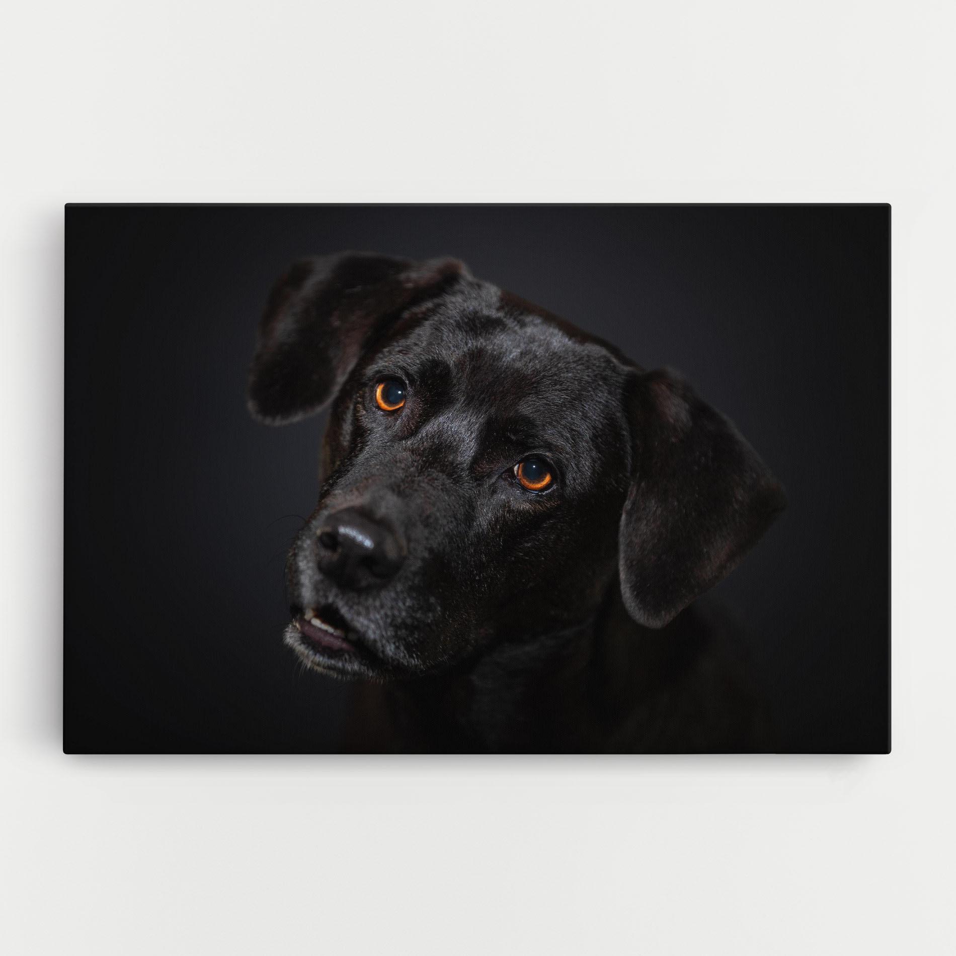 Картина на платно Black Dog Portrait mockup 0