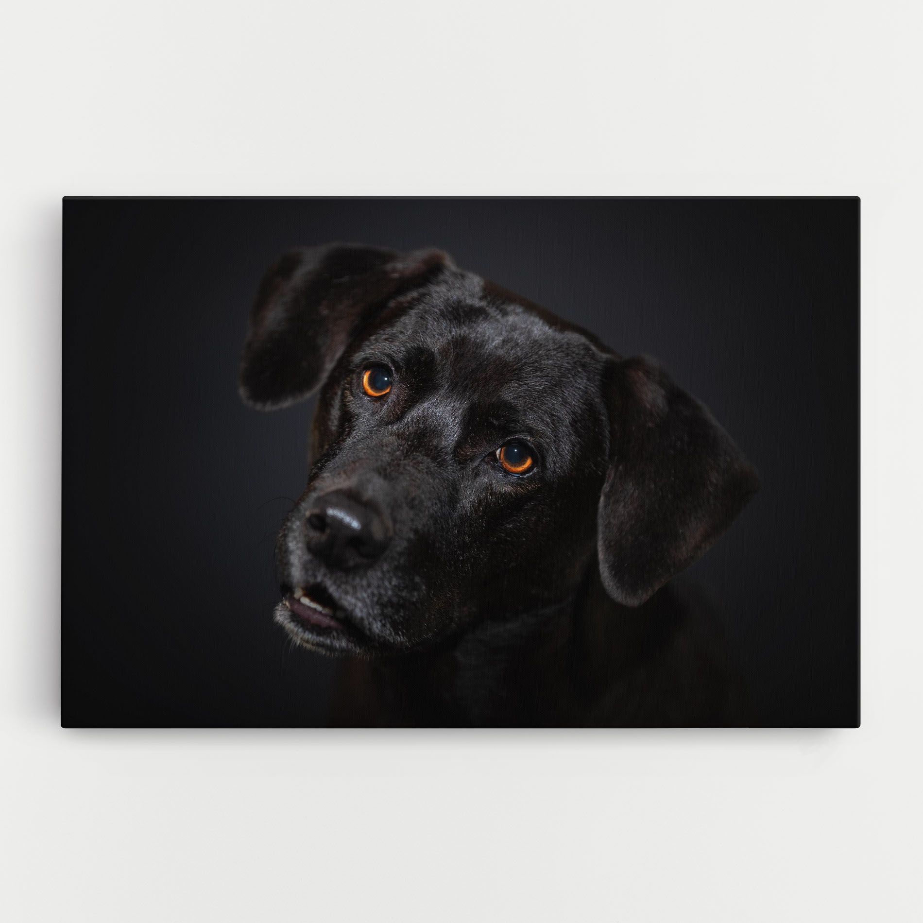 Black Dog Portrait mockup 0