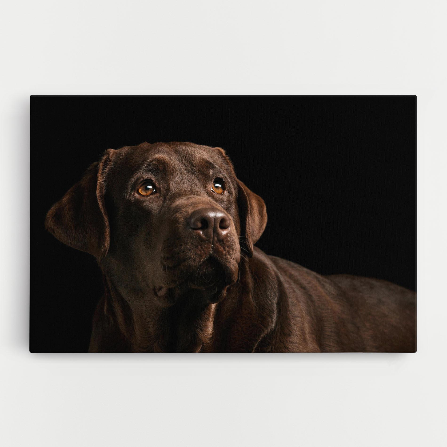 Картина на платно Brown Labrador mockup 0