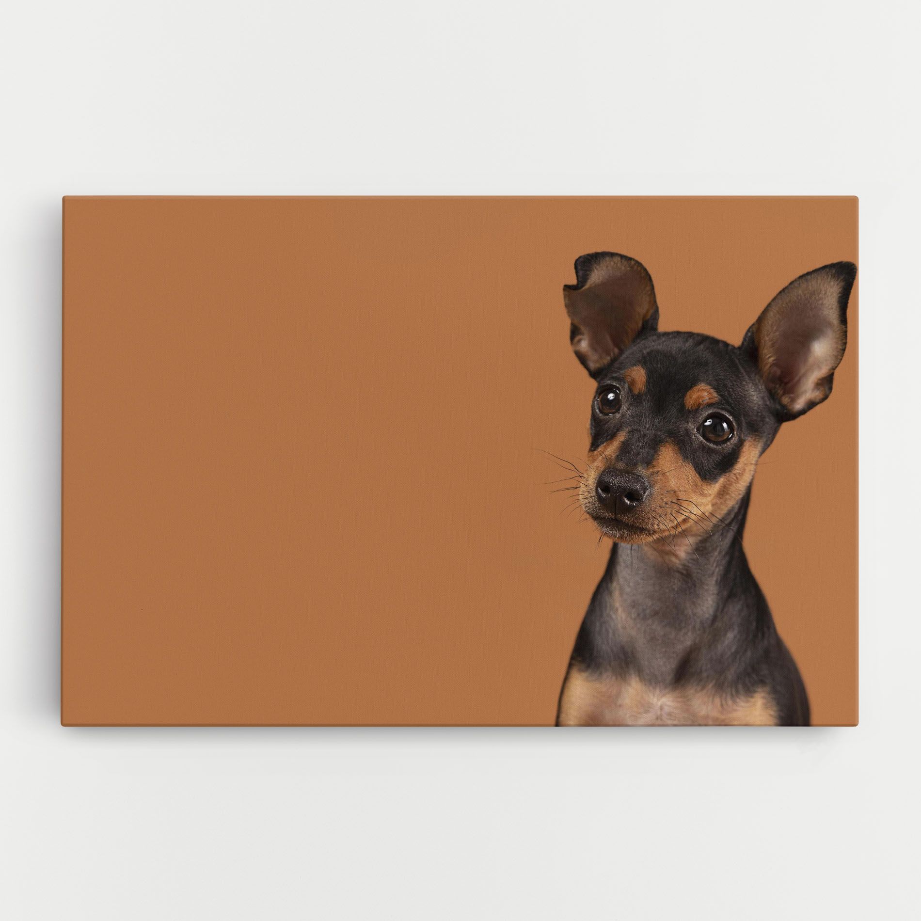 Cute Dog Portrait mockup 0