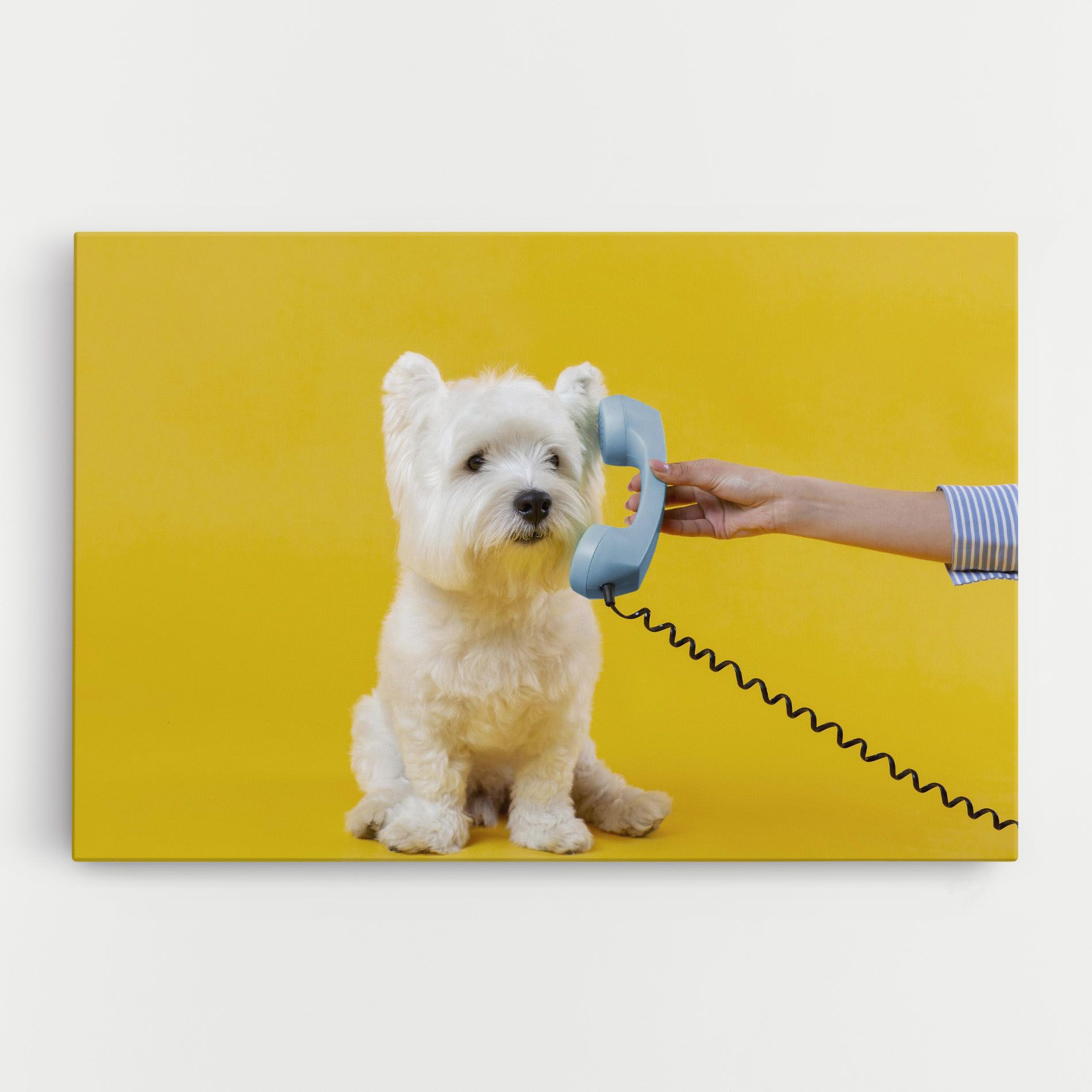 Cute Little Dog mockup 0