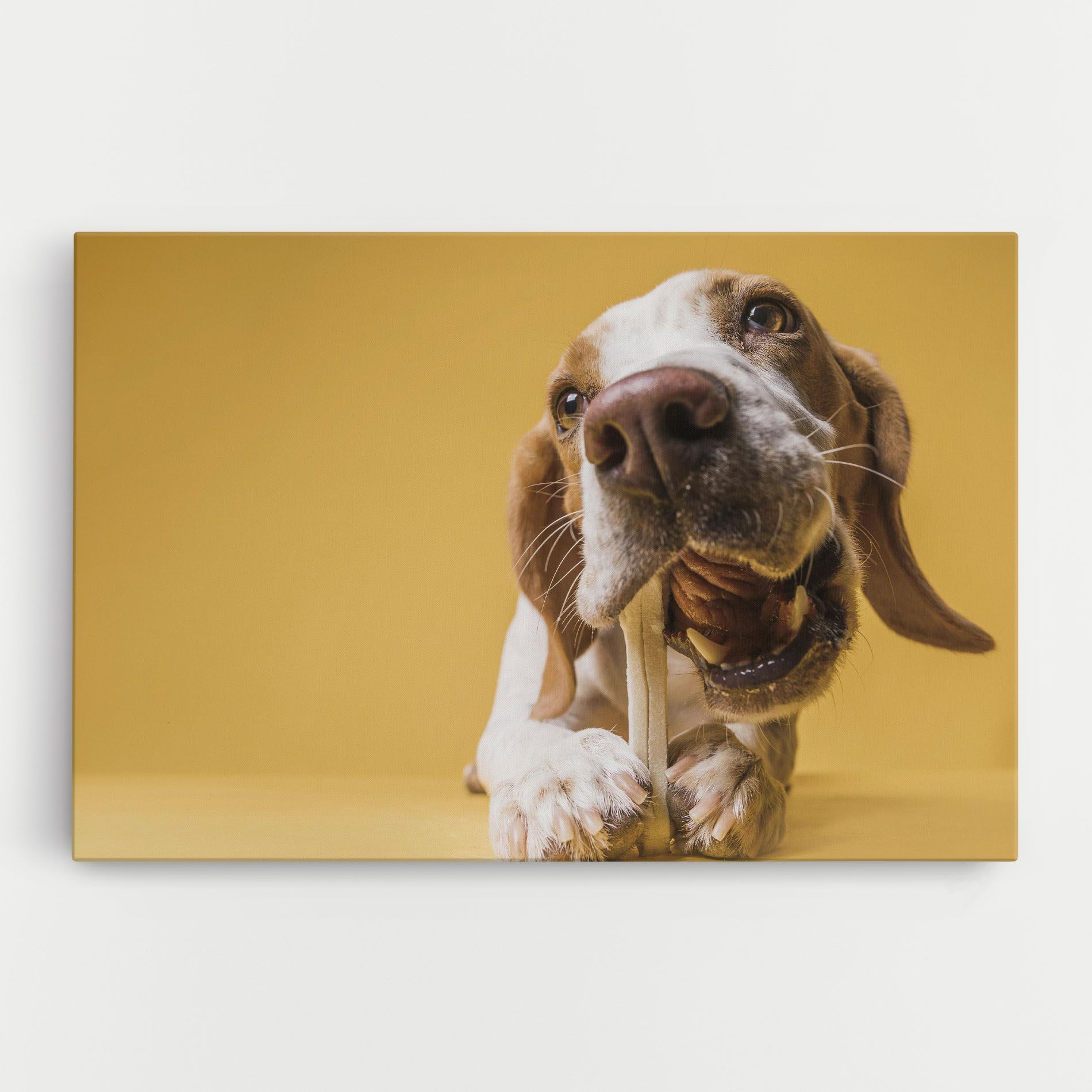 Dog Eating Bone mockup 0