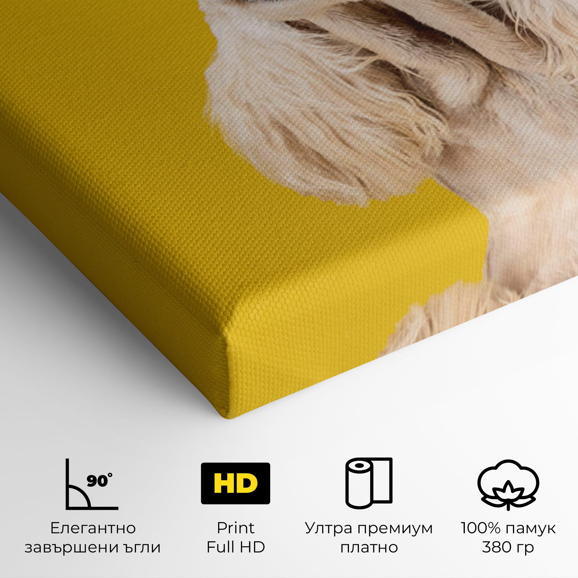 Картина на платно American Spaniel mockup 4