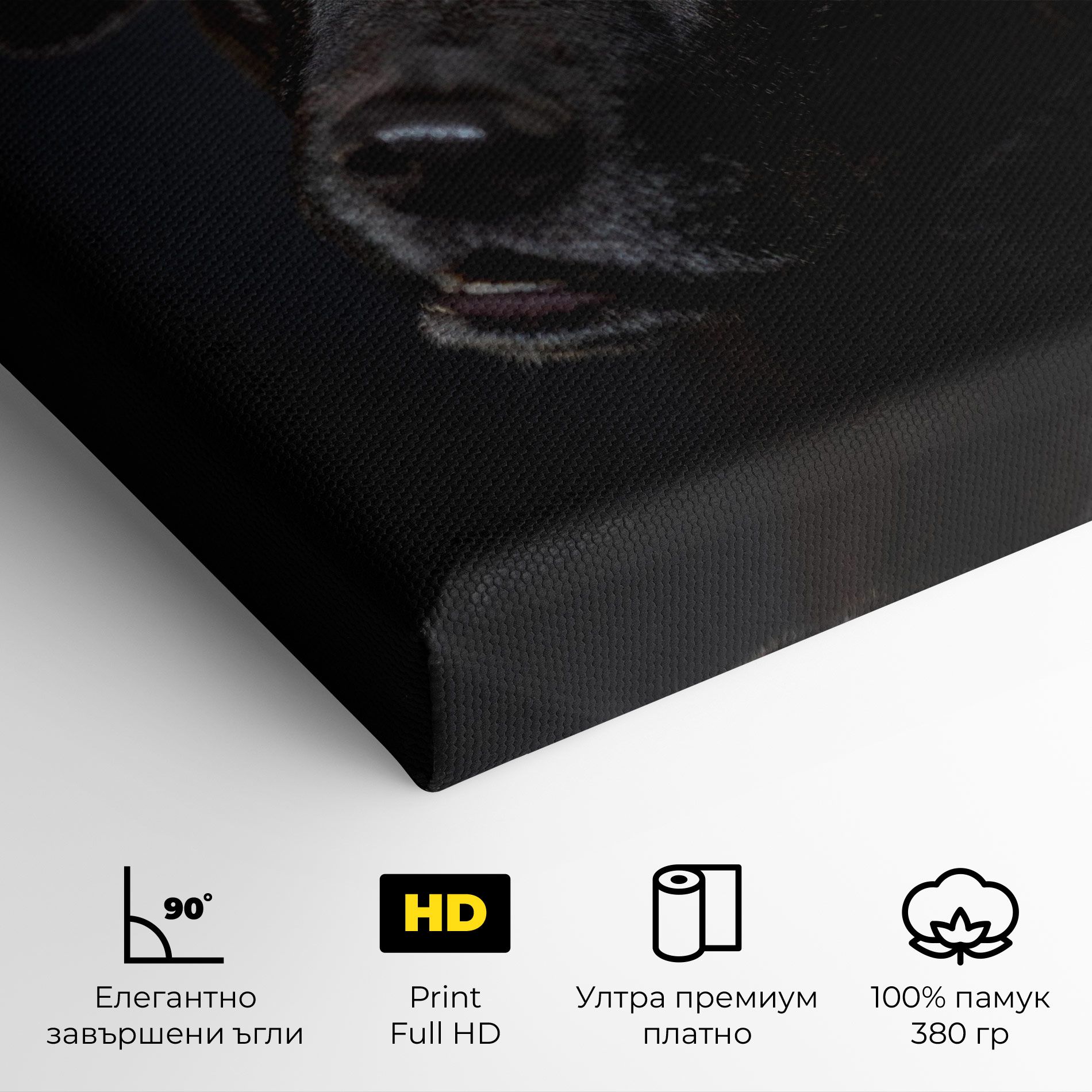 Black Dog Portrait mockup 4