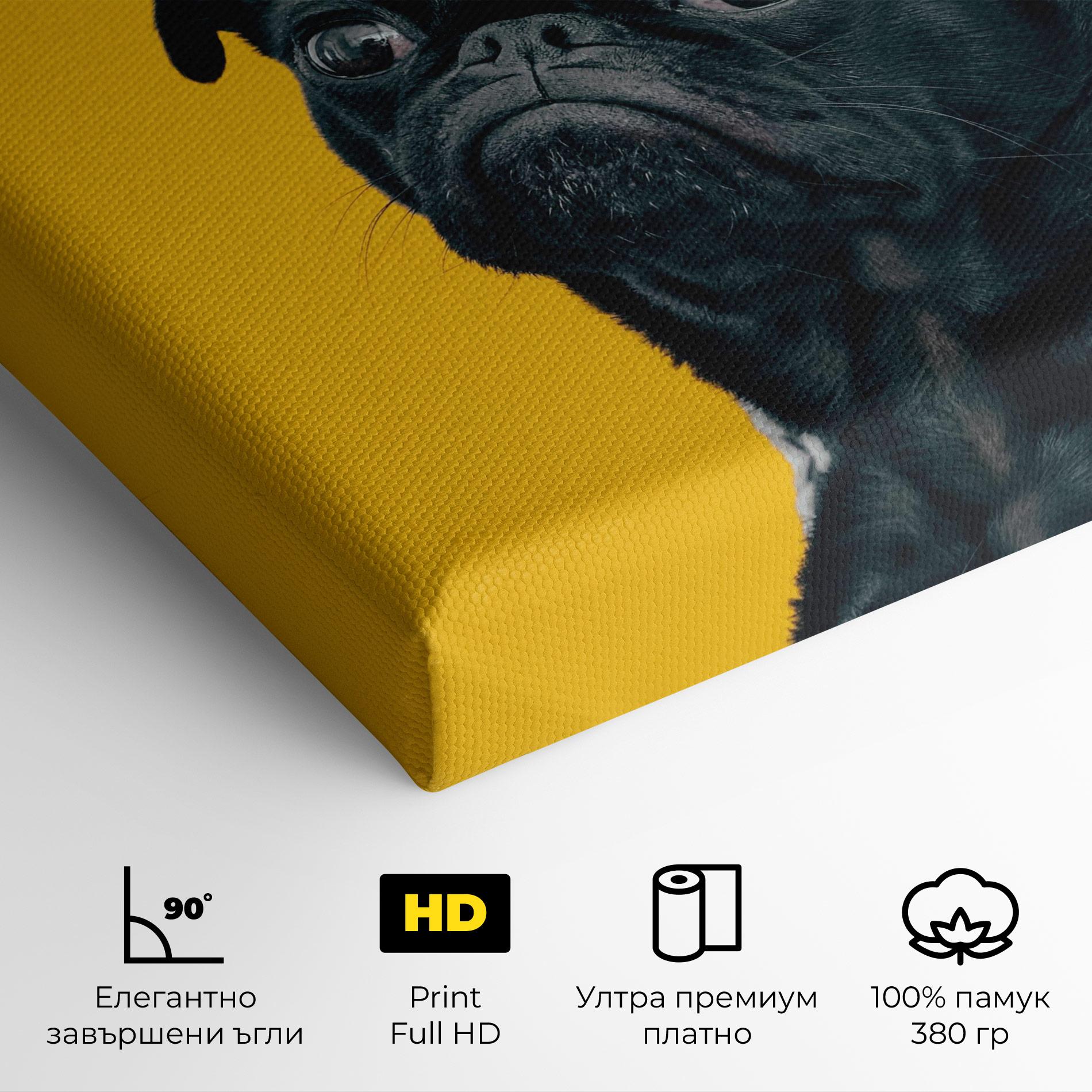 Картина на платно Black Pug mockup 4