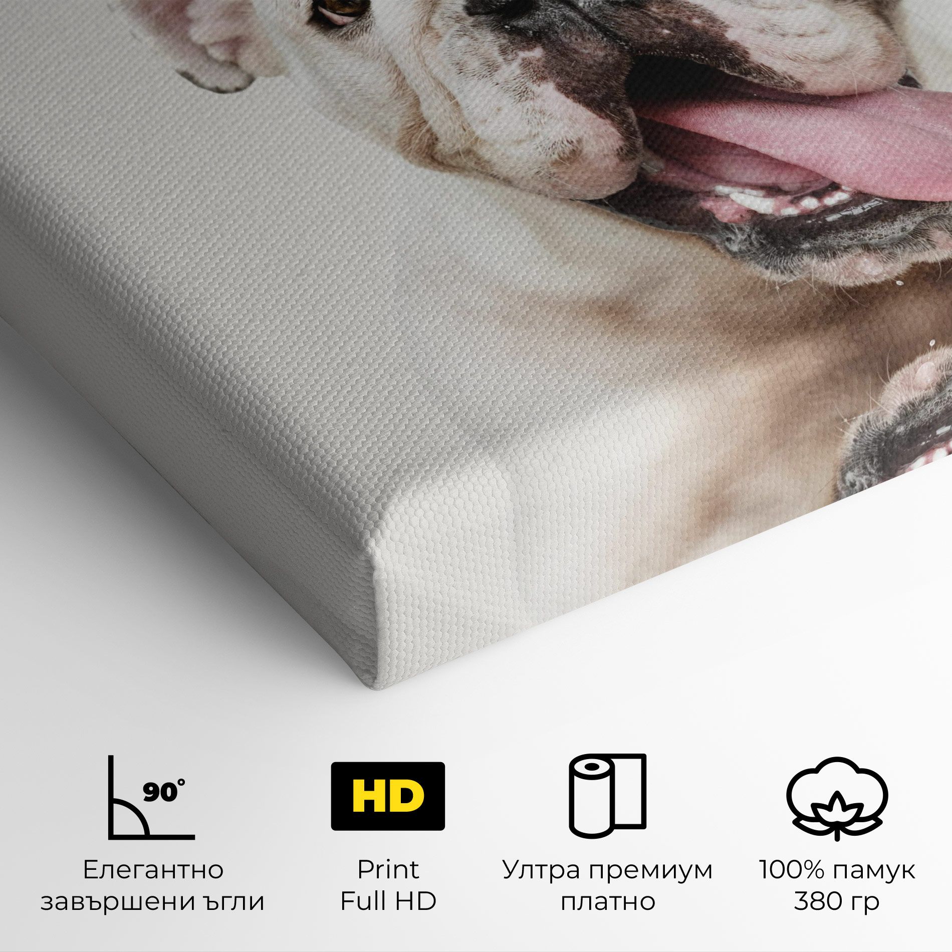 Bulldog Wearing Crown mockup 4