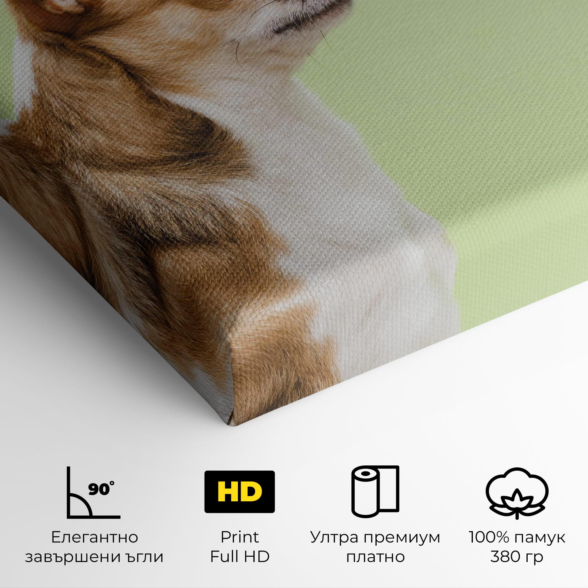 Картина на платно Chihuahua Dog mockup 4