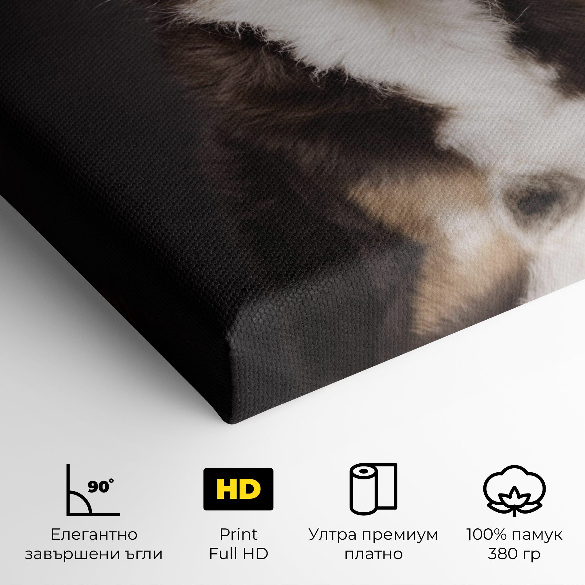 Cute Dog Sitting mockup 4