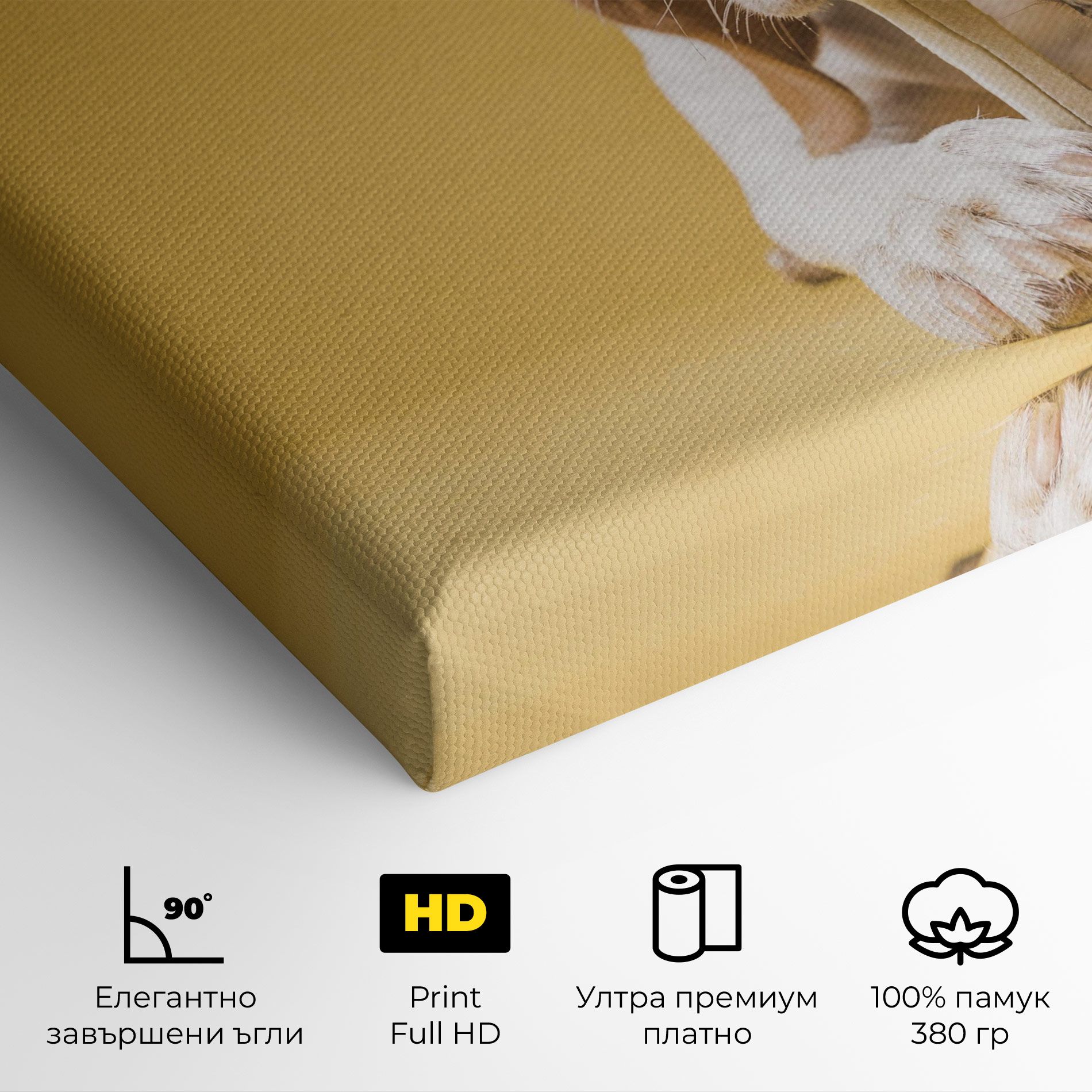 Dog Eating Bone mockup 4