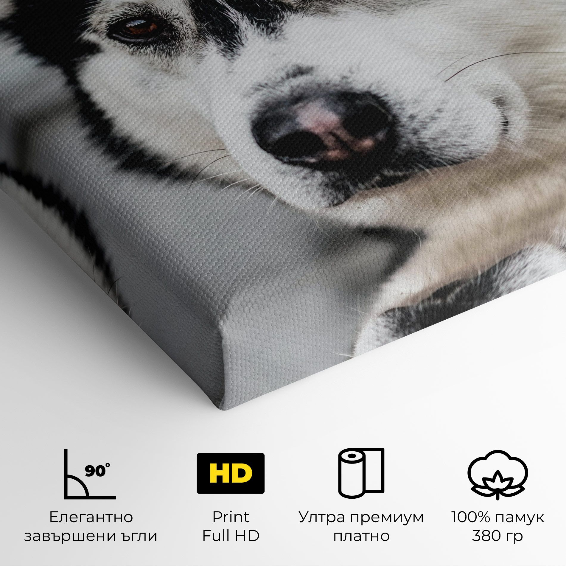 Husky Dog mockup 4