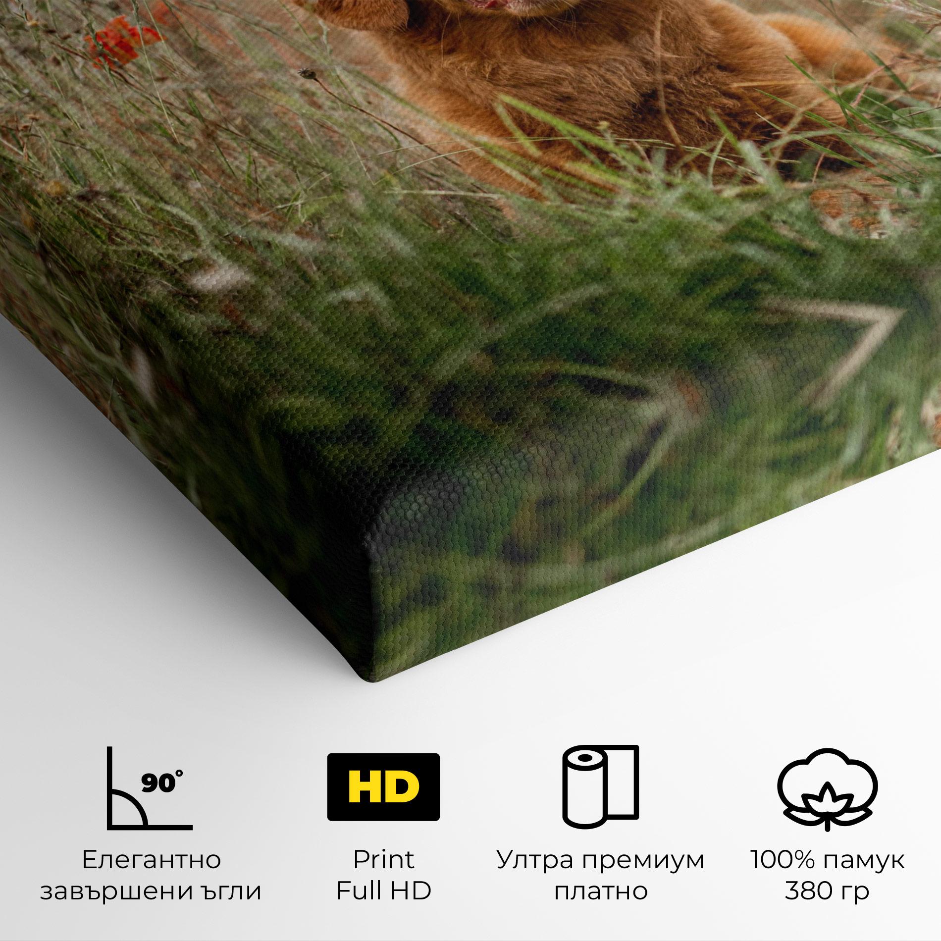 Картина на платно Red Flowers Dog mockup 4