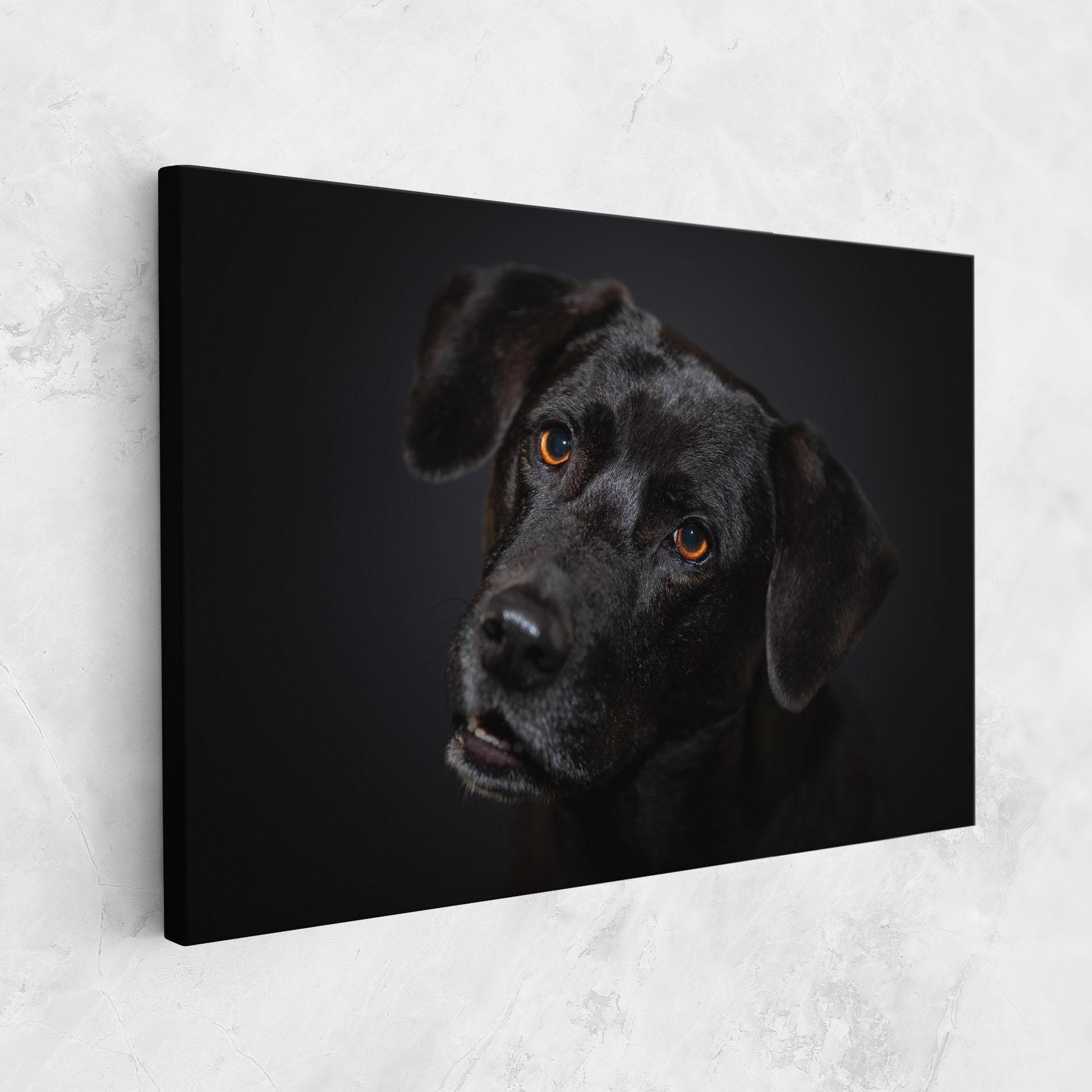 Картина на платно Black Dog Portrait mockup 1