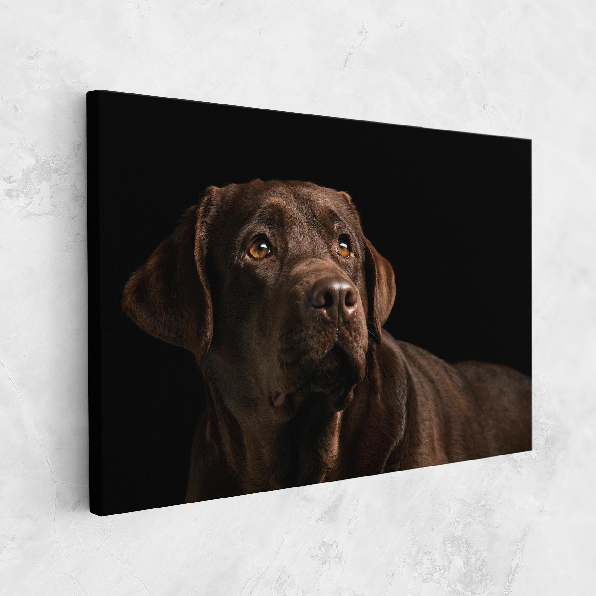 Картина на платно Brown Labrador mockup 1