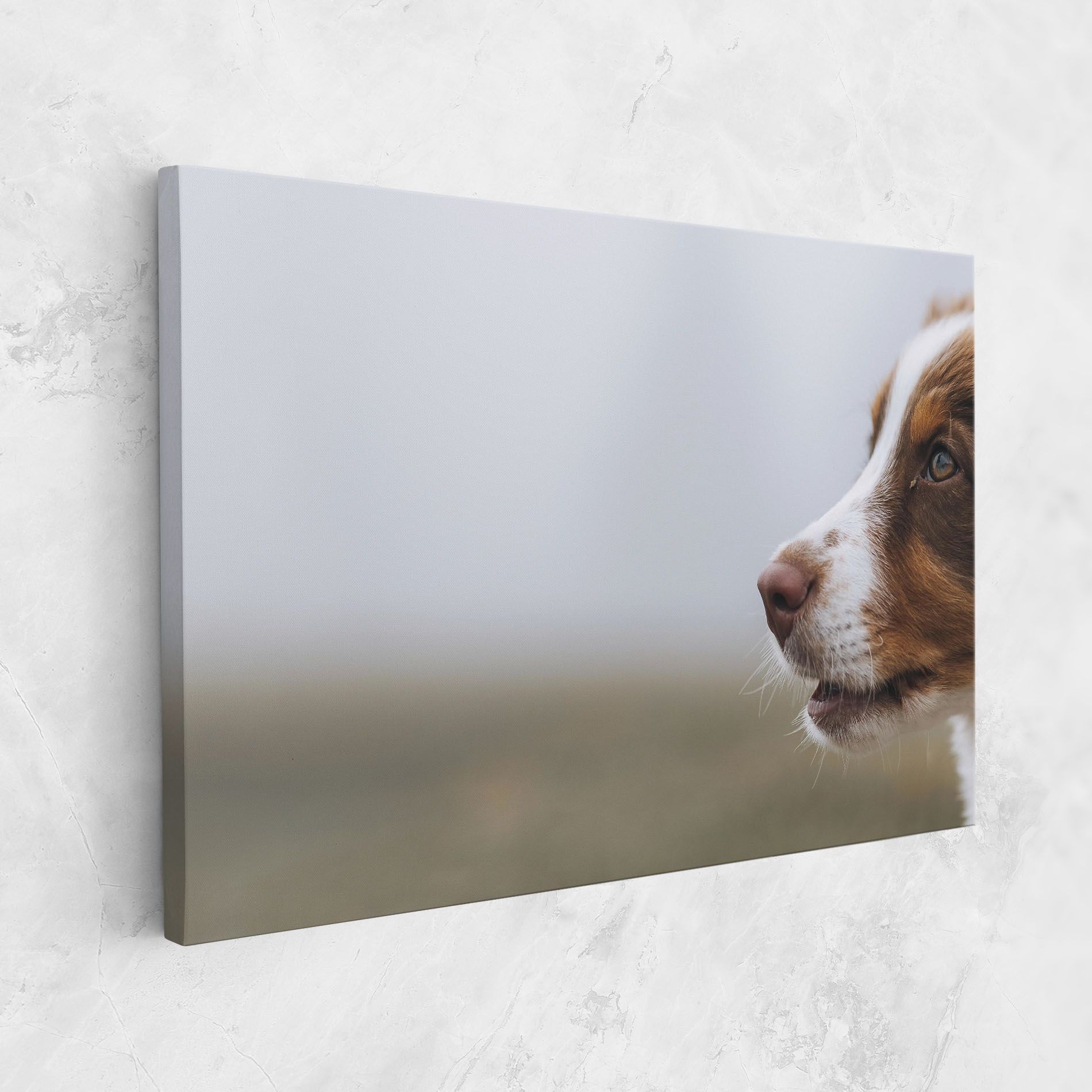 Brown White Dog mockup 1