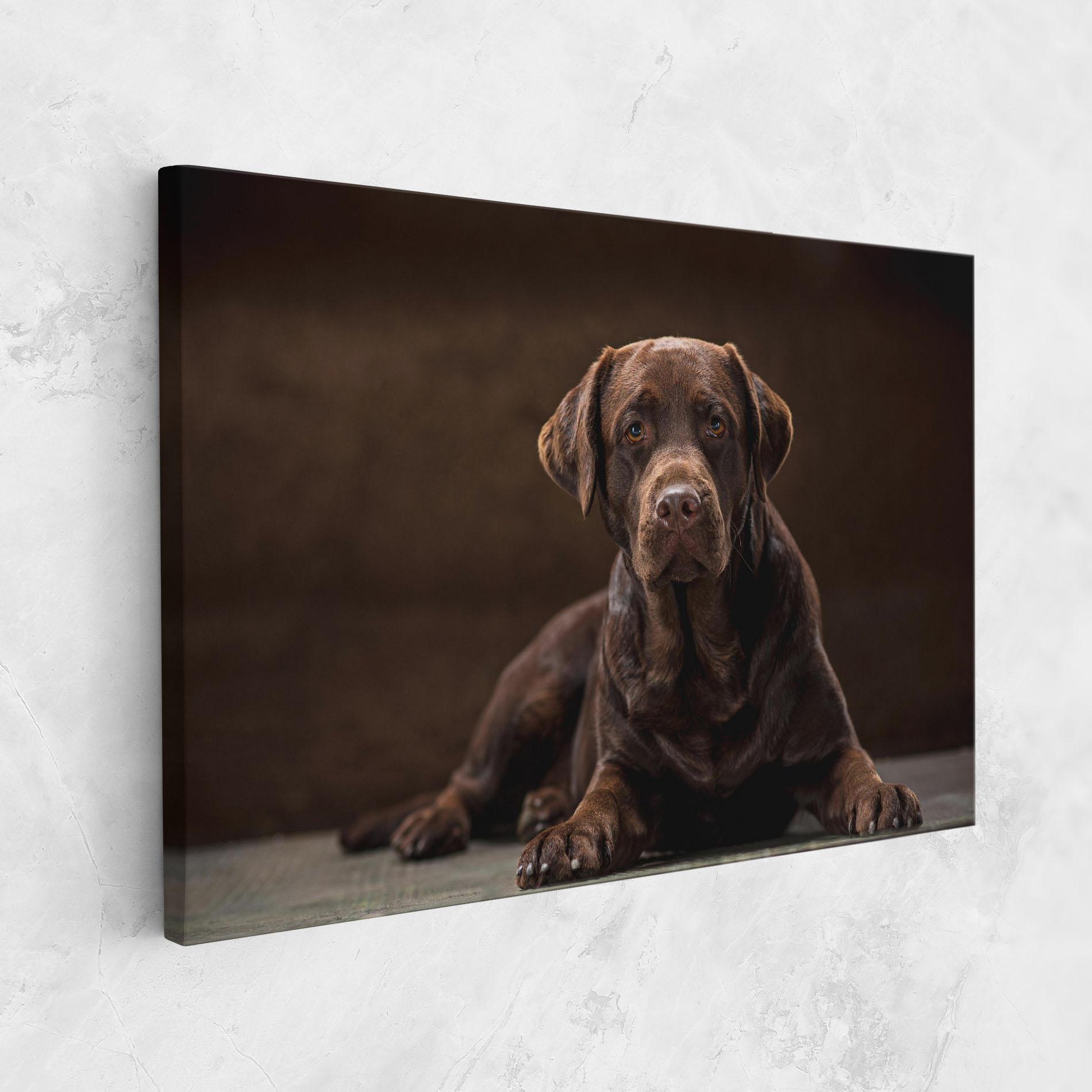 Картина на платно Cute Brown Labrador mockup 1