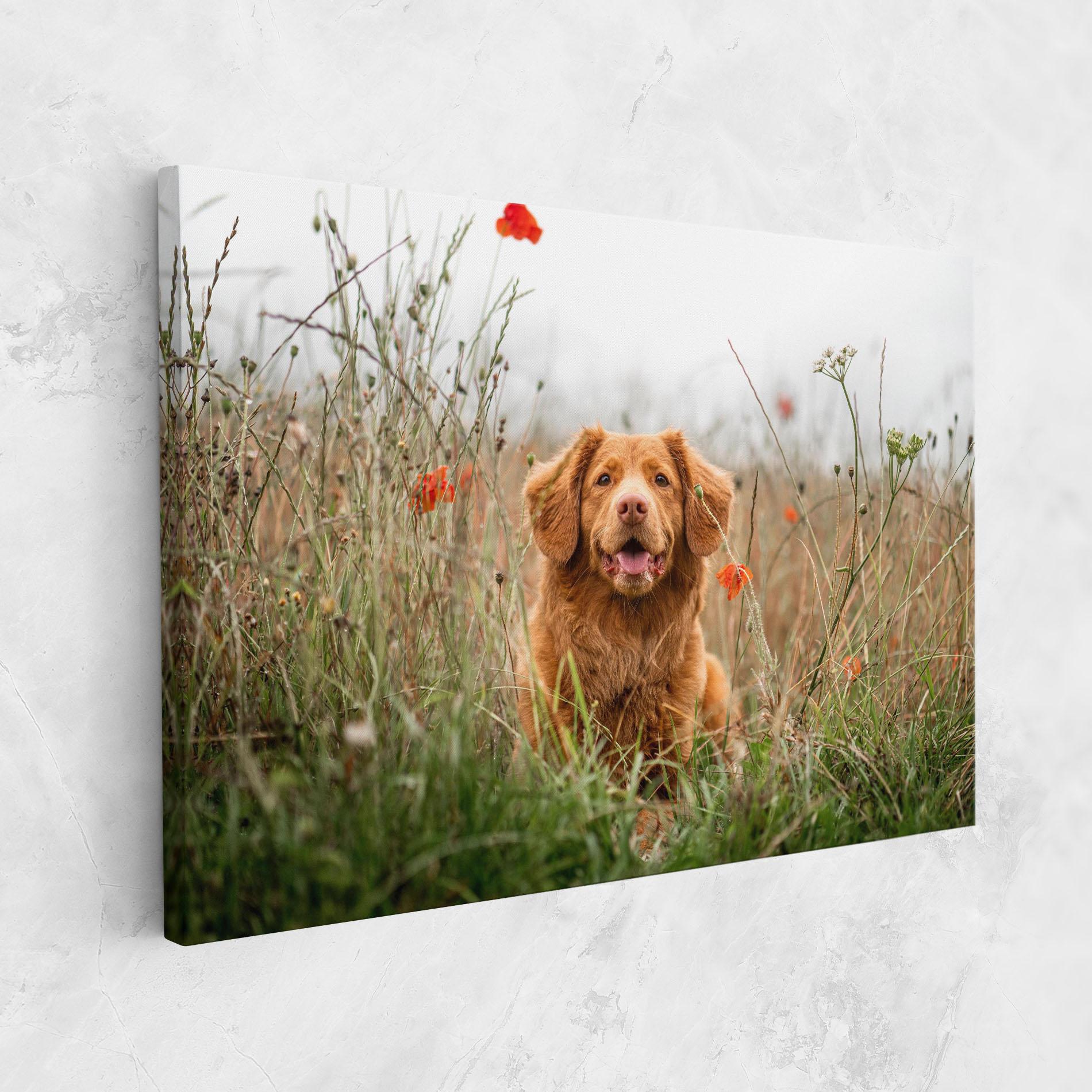 Картина на платно Red Flowers Dog mockup 1