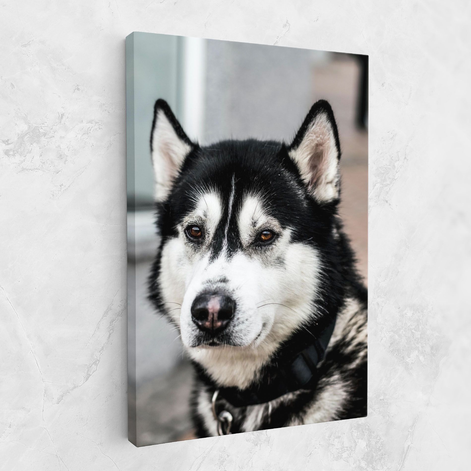 Husky Dog mockup 1