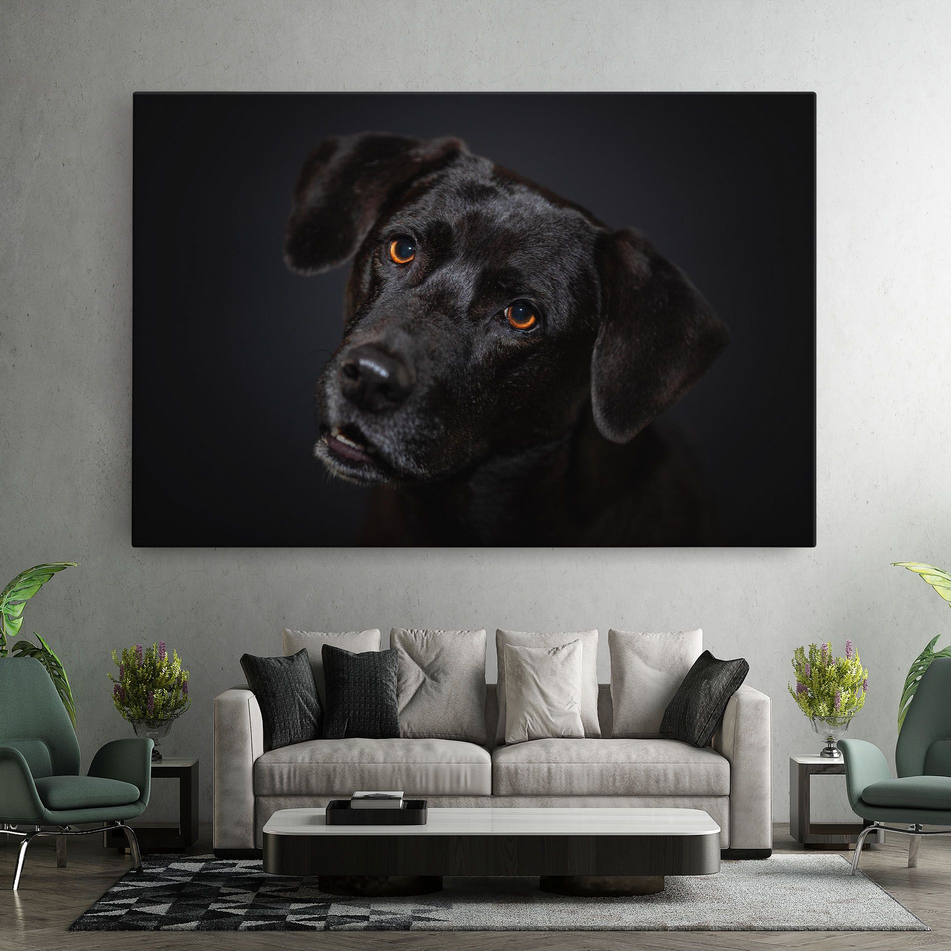 Black Dog Portrait mockup 7