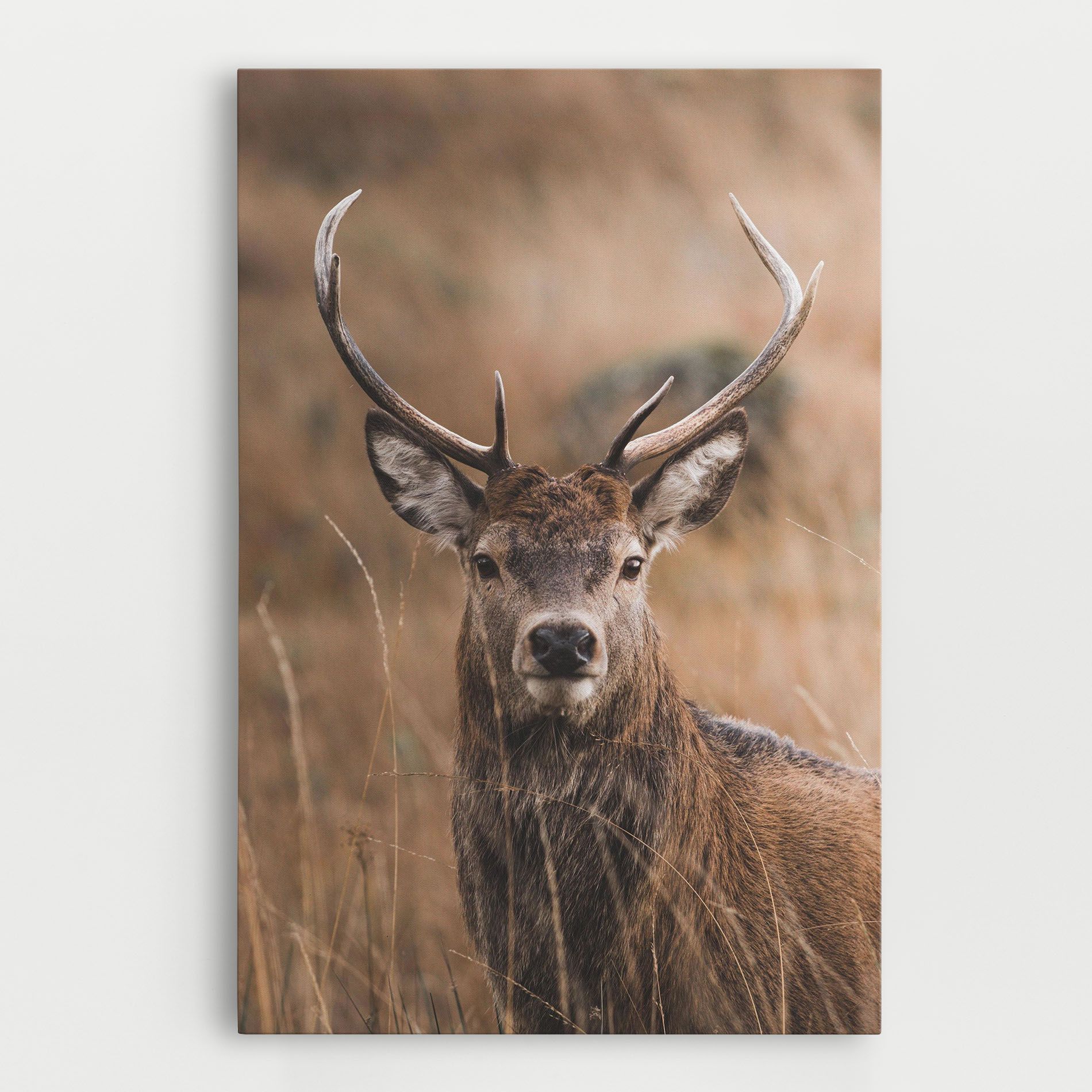 Majestic Deer mockup 0