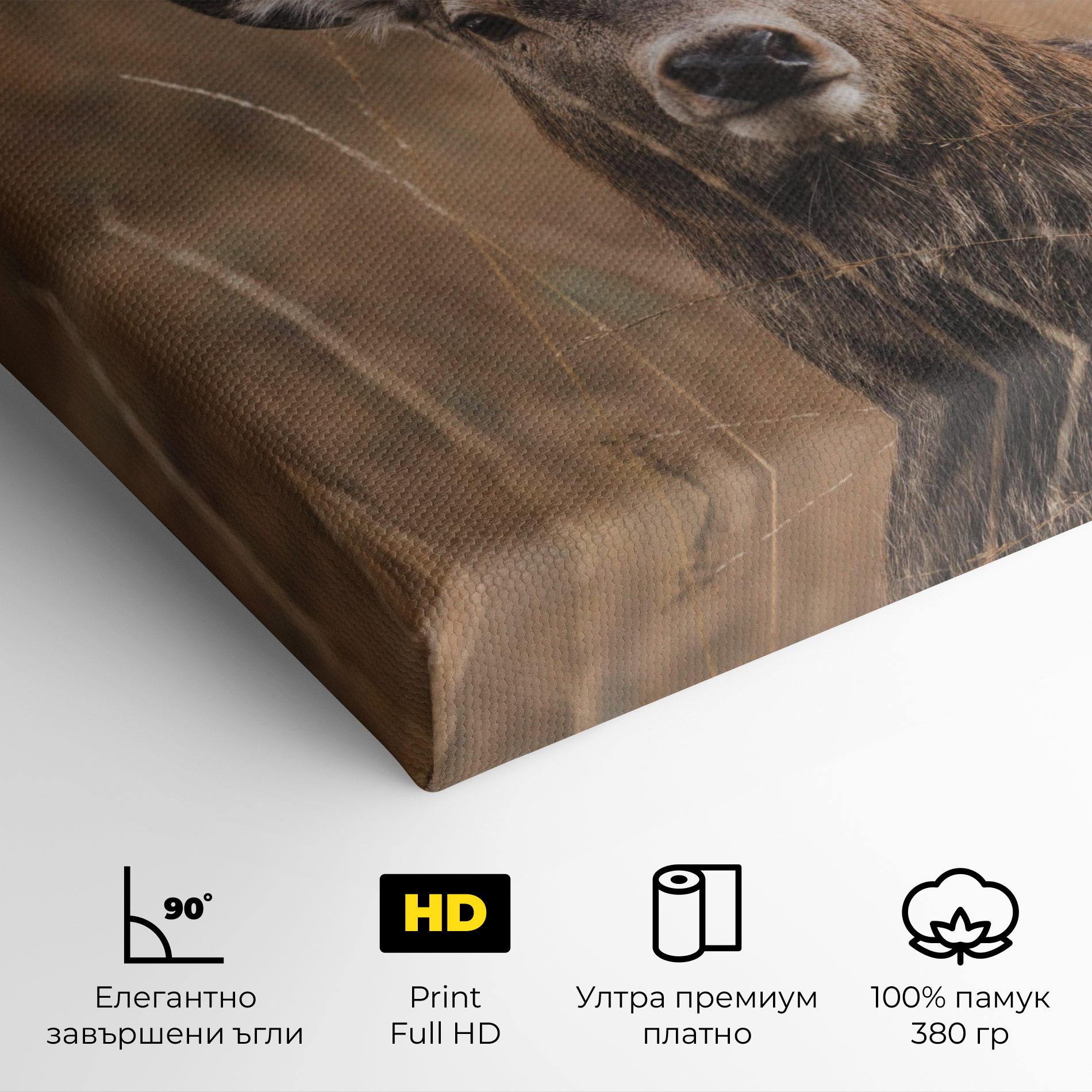 Картина на платно Majestic Deer mockup 4