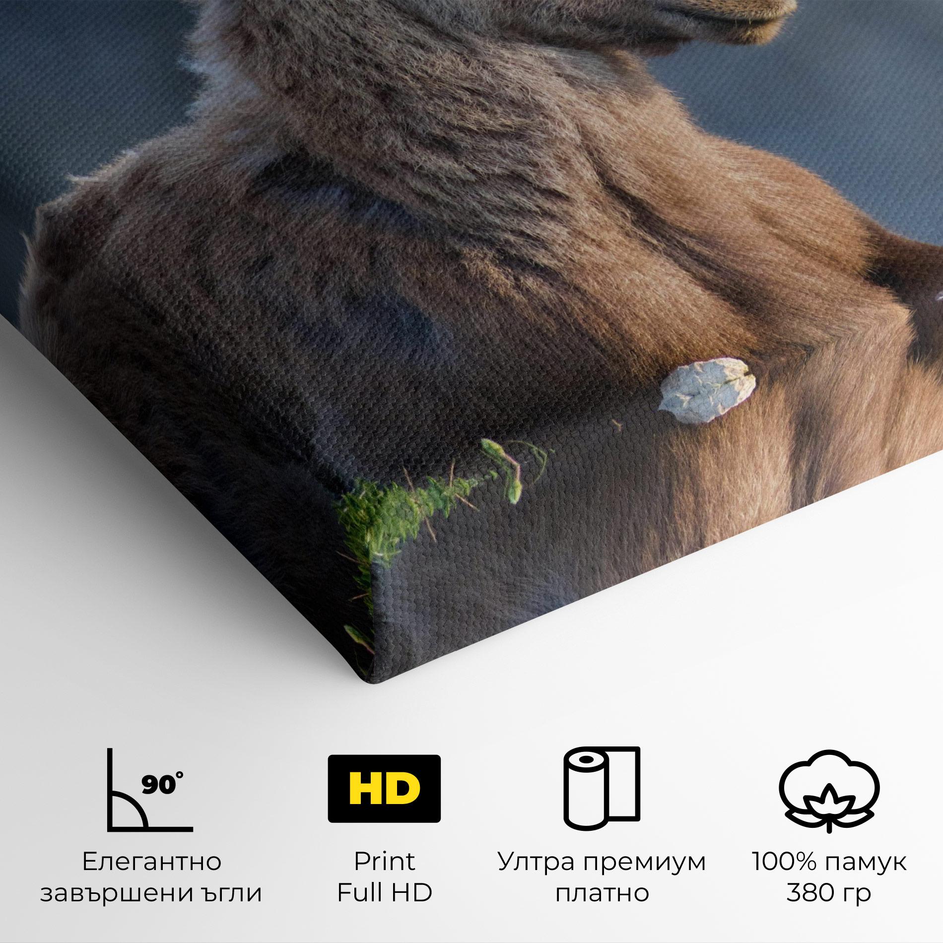 Картина на платно Mountain Goat mockup 4