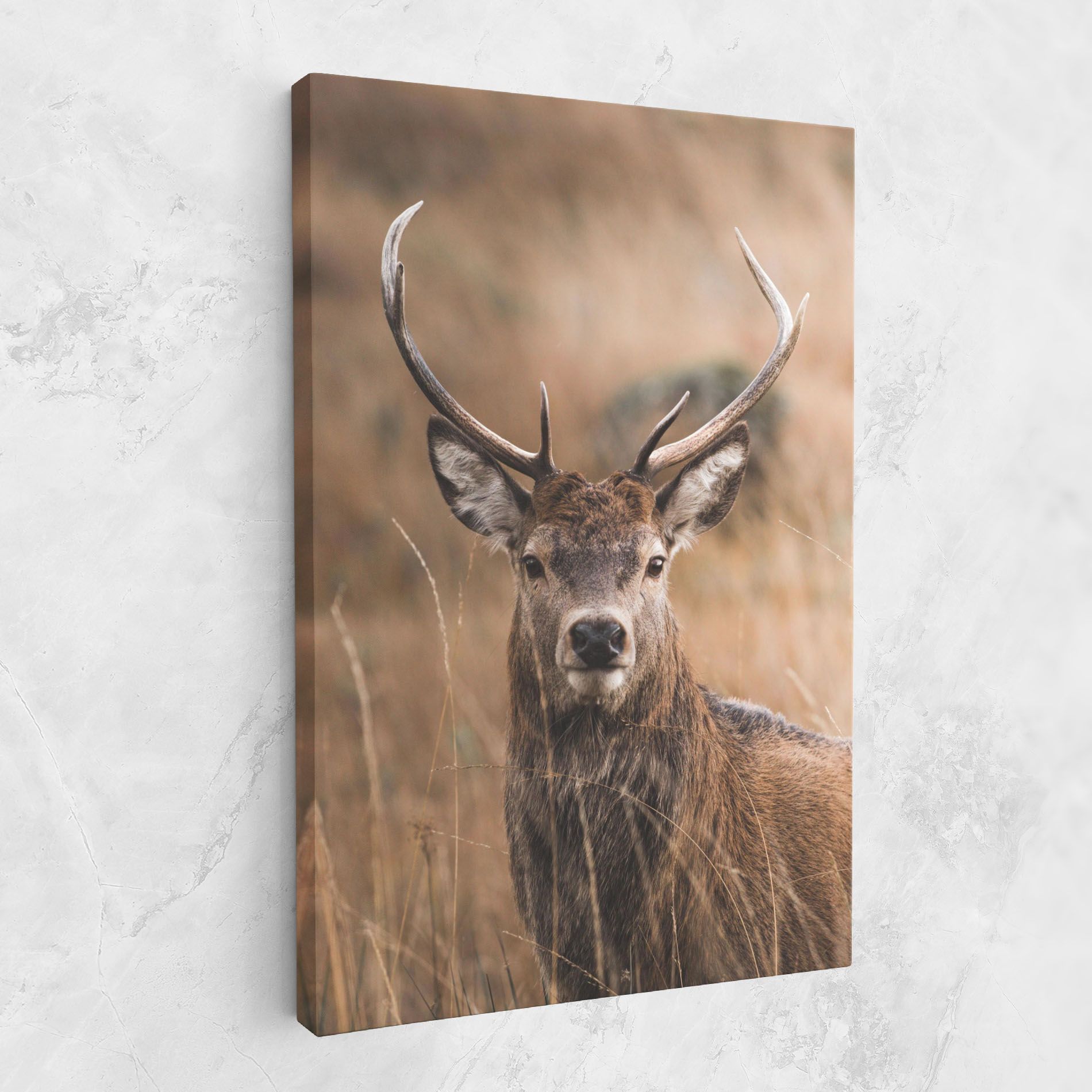 Majestic Deer mockup 1