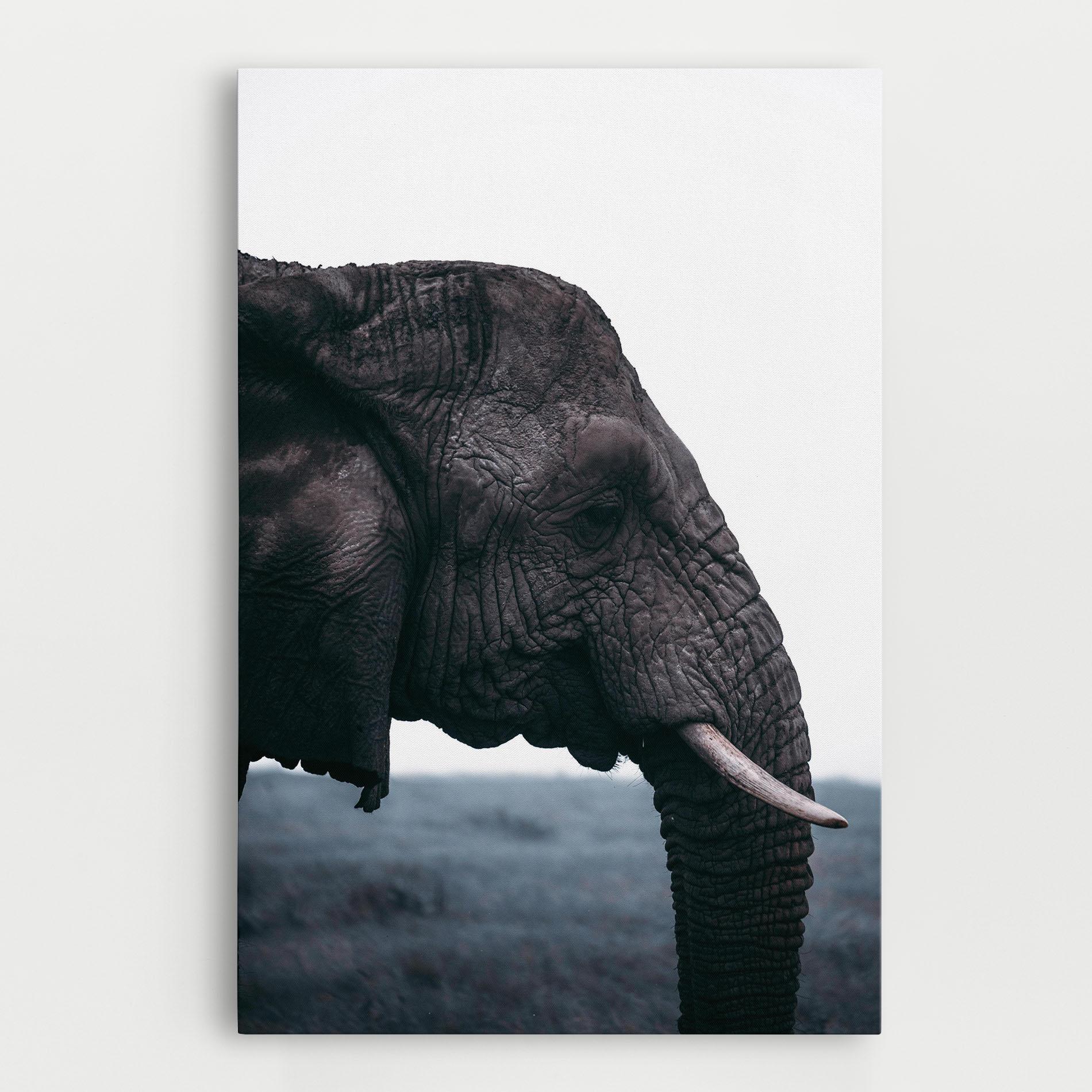 Картина на платно Close Grey Eelephant mockup 0