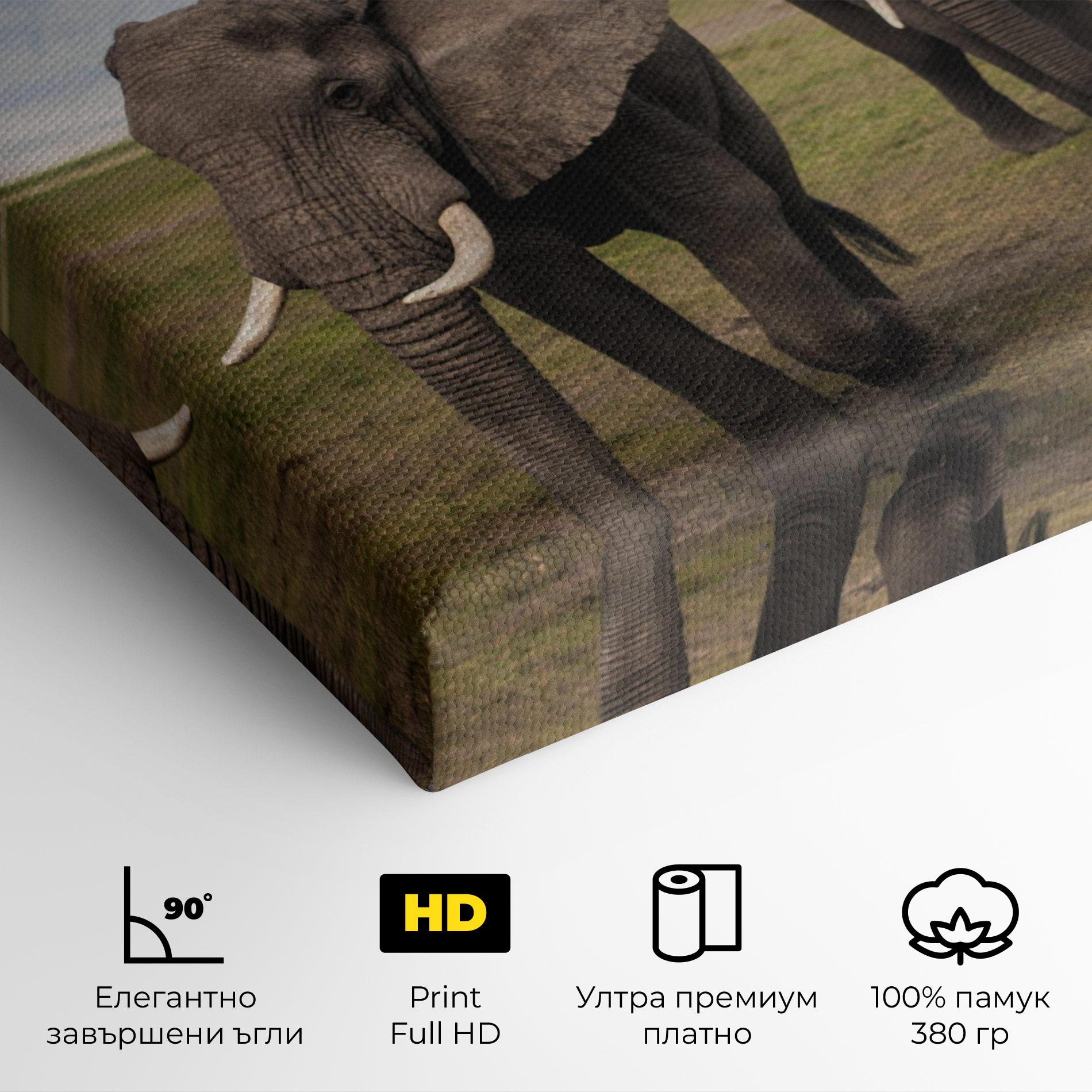 Картина на платно Elephant Landscape mockup 4
