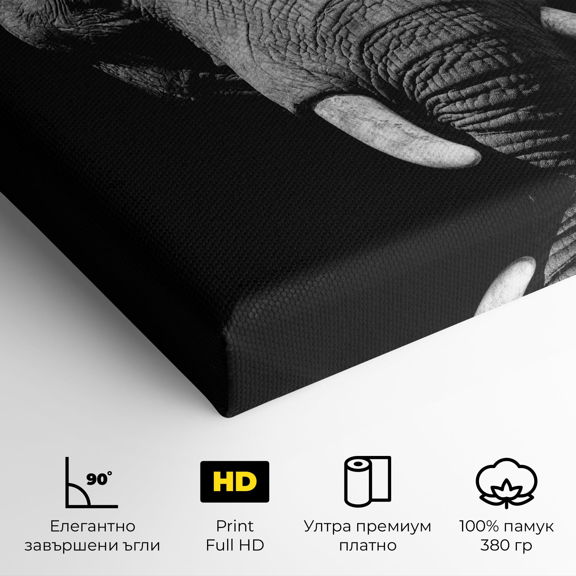 Картина на платно Shadow Elephant mockup 4