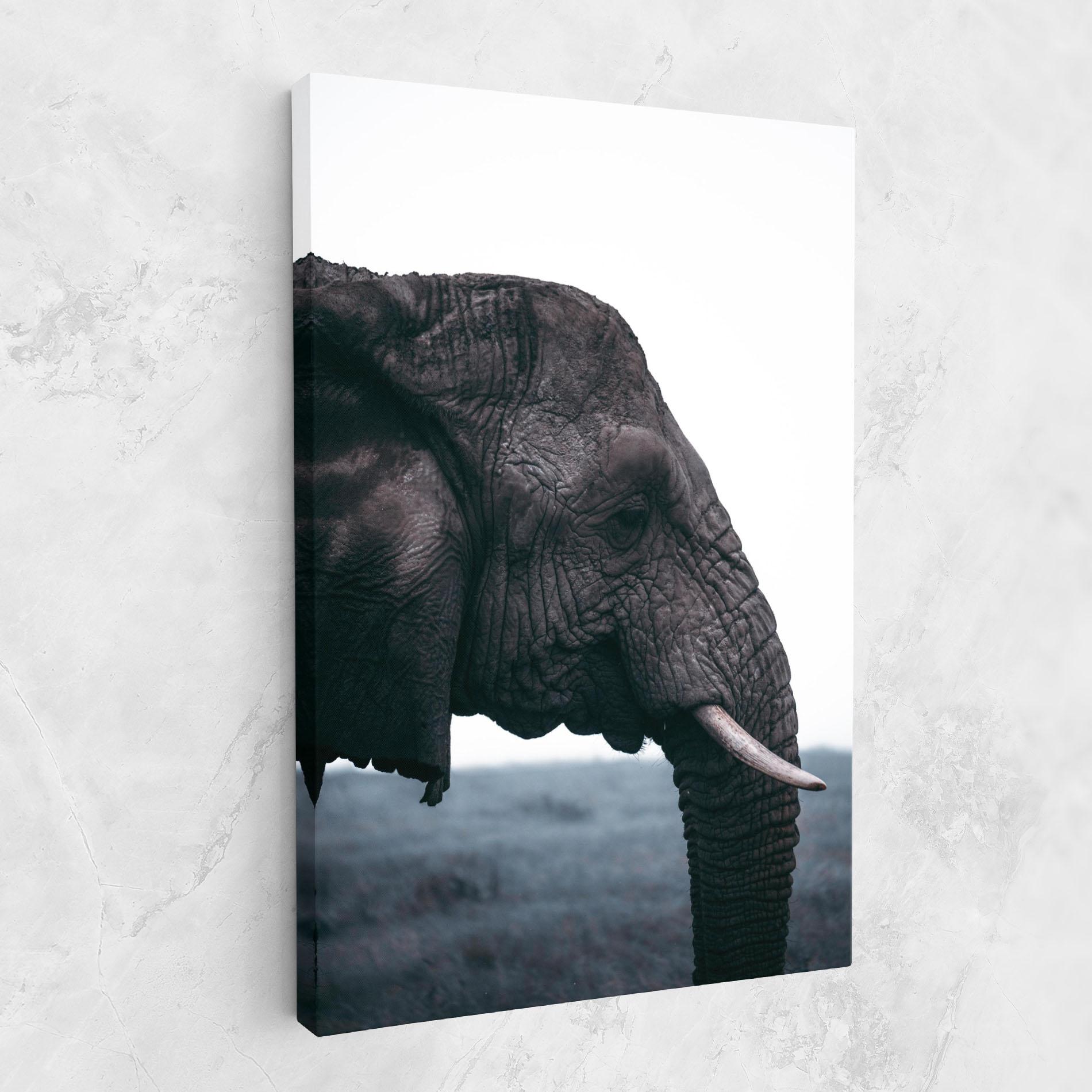 Картина на платно Close Grey Eelephant mockup 1