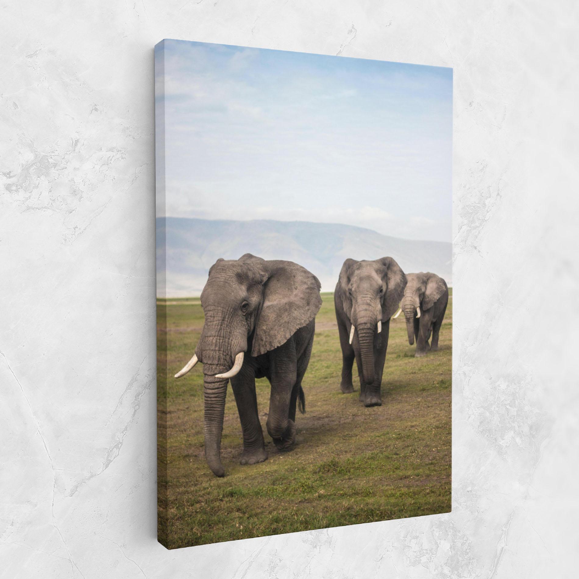 Картина на платно Elephant Landscape mockup 1