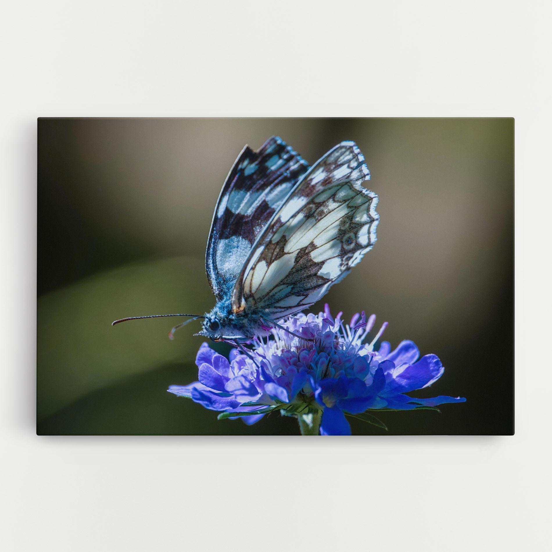 Картина на платно Blue Butterfly In Nature mockup 0