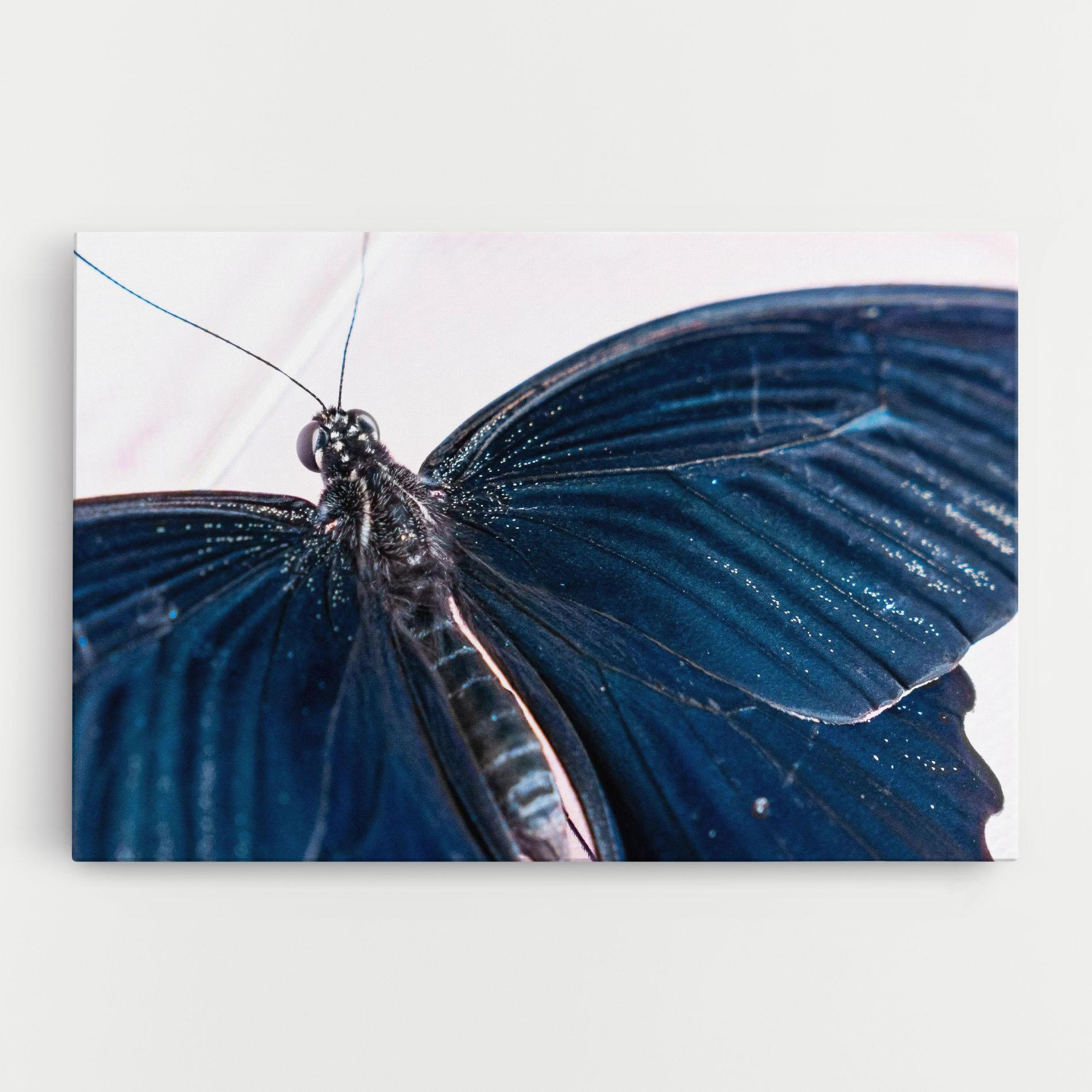 Картина на платно Blue Butterfly mockup 0