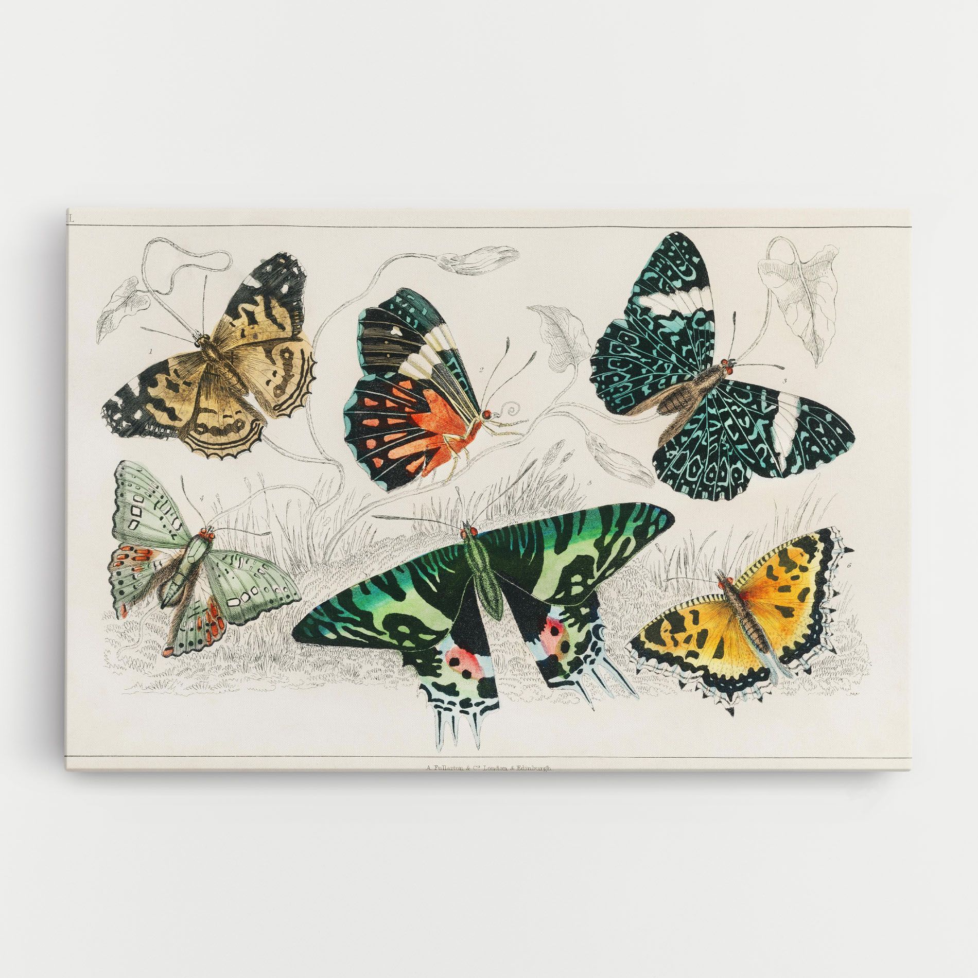 Butterfly Art mockup 0