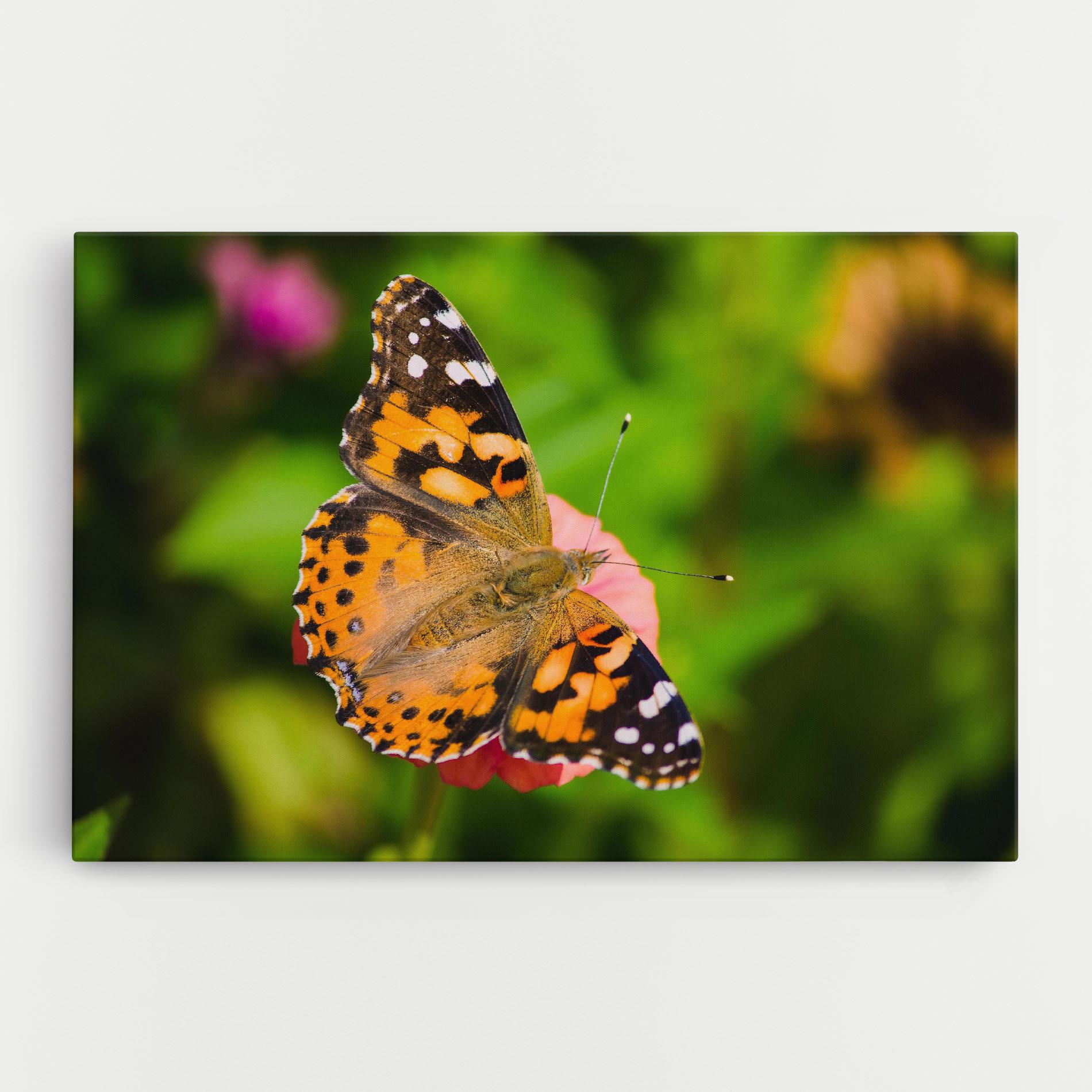 Картина на платно Butterfly On Flower mockup 0