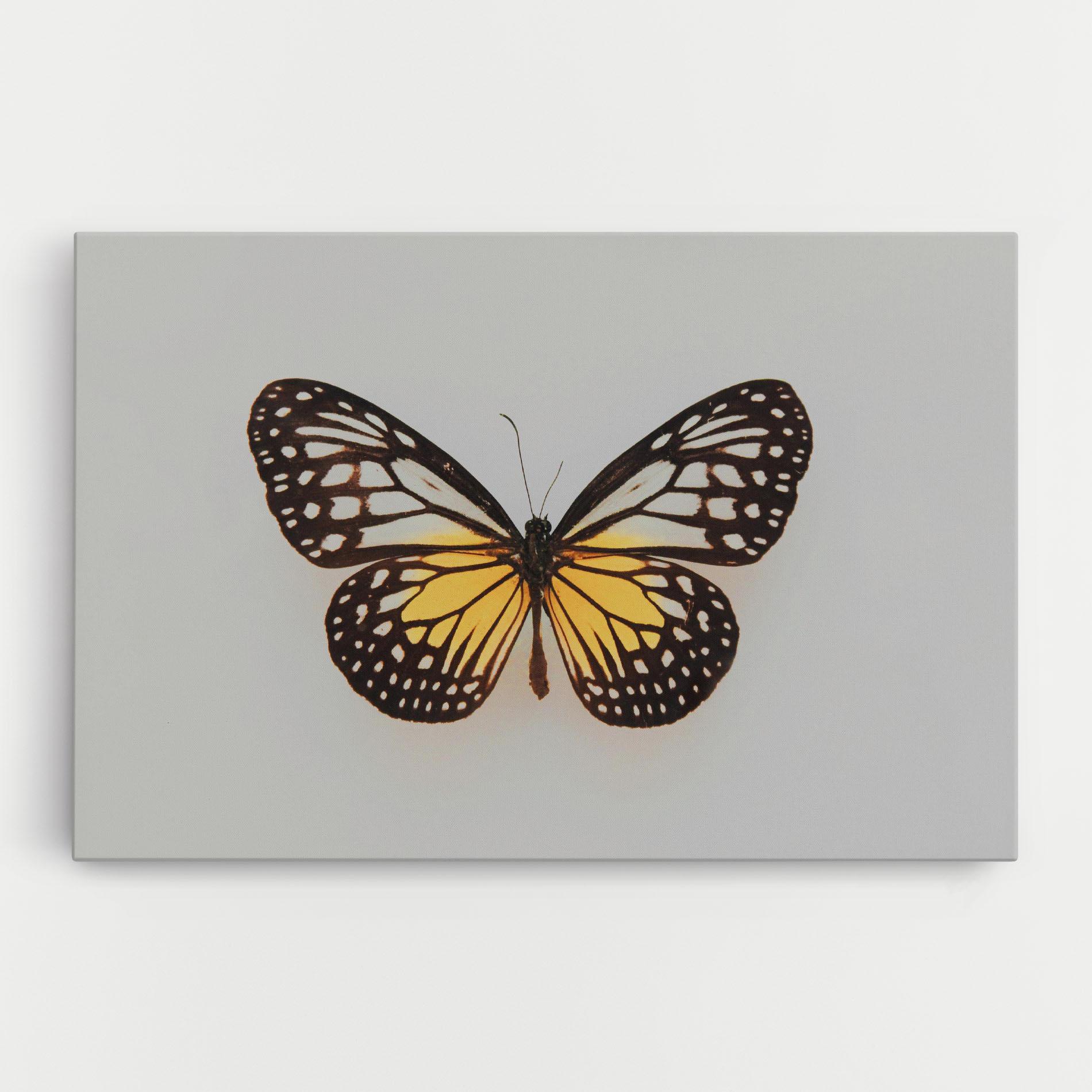 Картина на платно Butterfly On Grey mockup 0