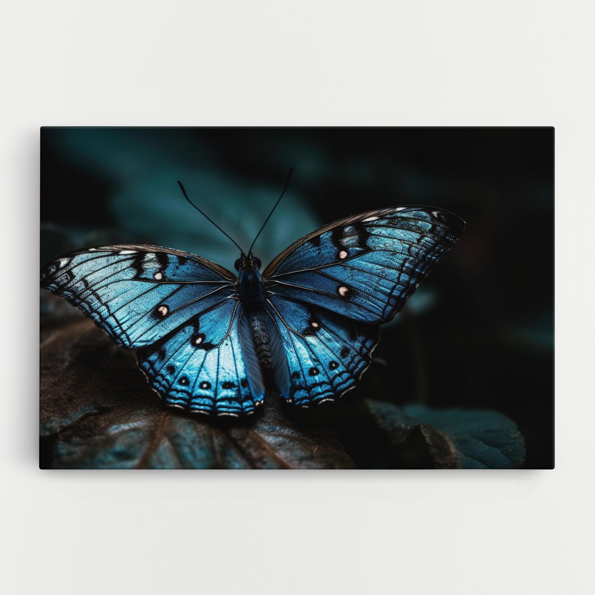 Dark Blue Buterfly mockup 0
