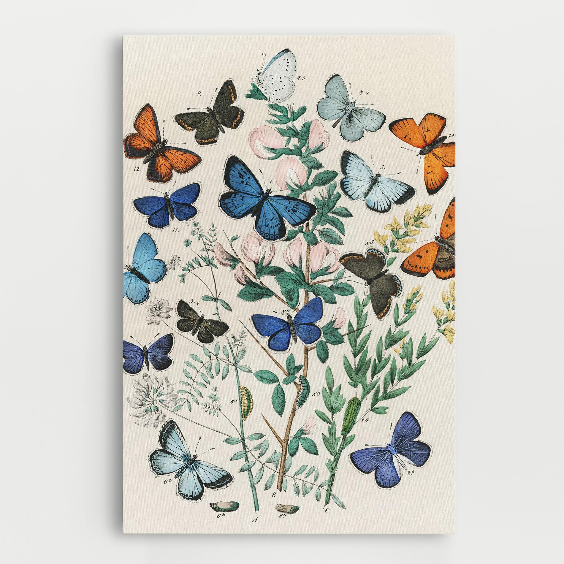 Картина на платно Blue Orange Butterflies mockup 0
