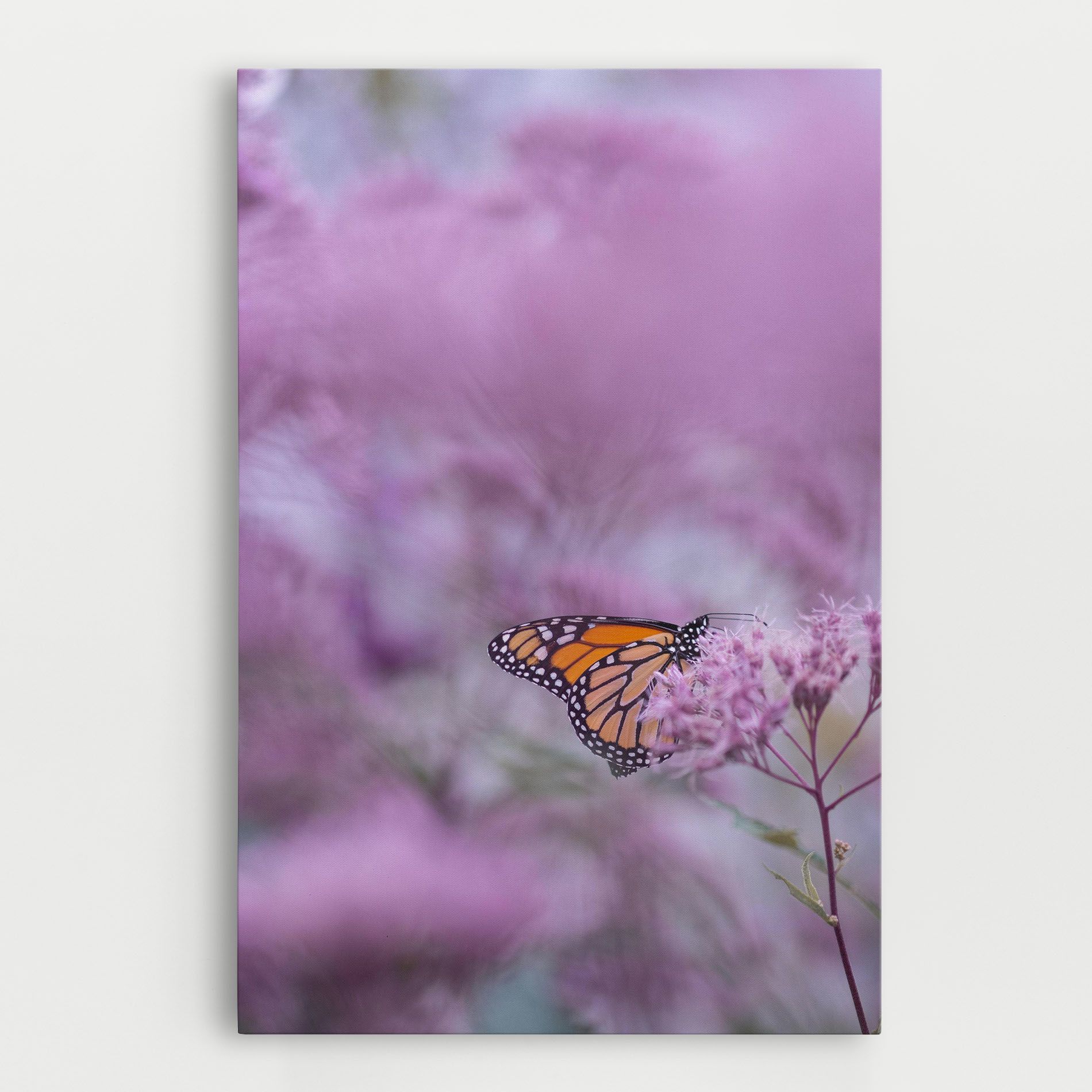 Purple Flower Butterfly mockup 0